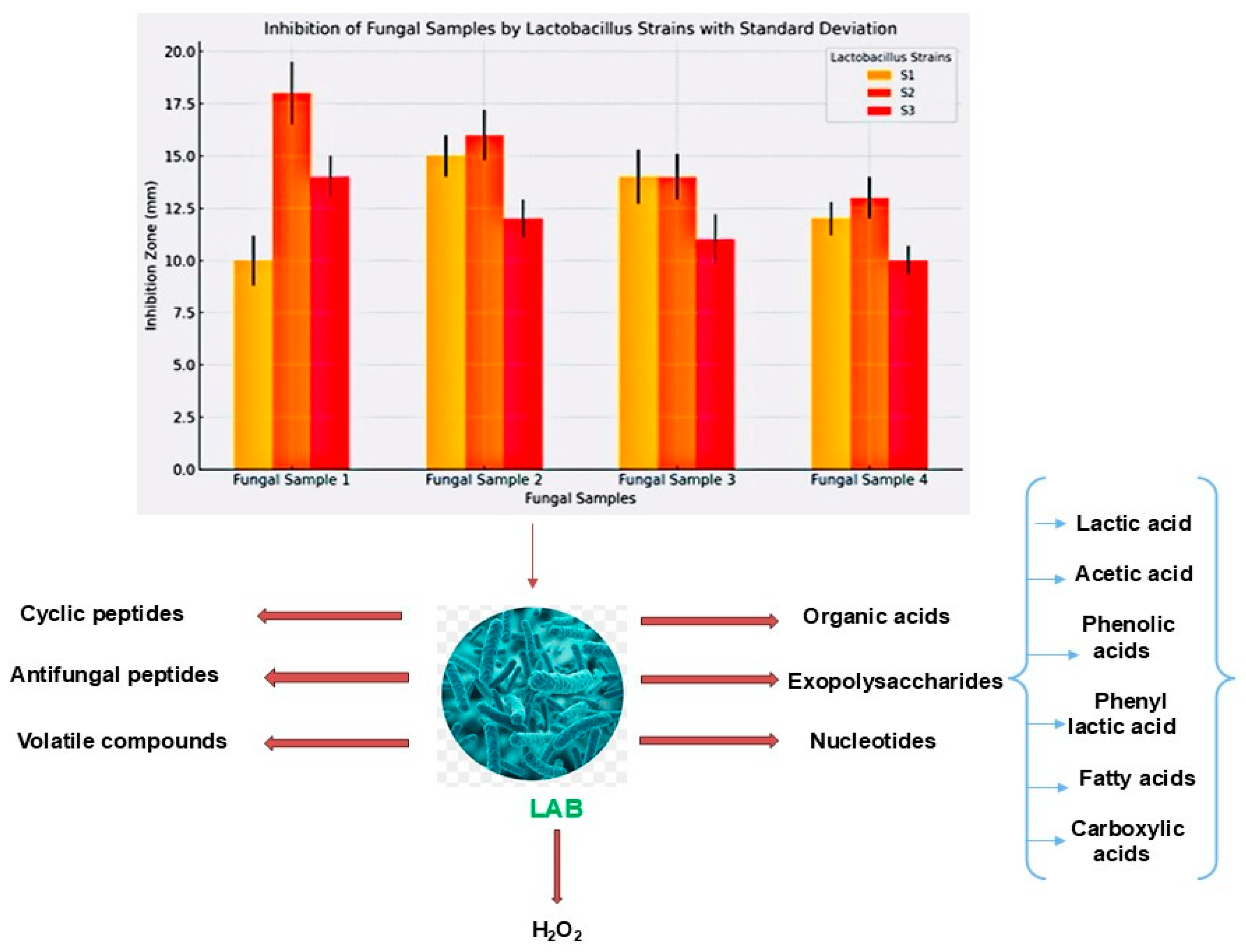 Microorganisms 13 00216 g011