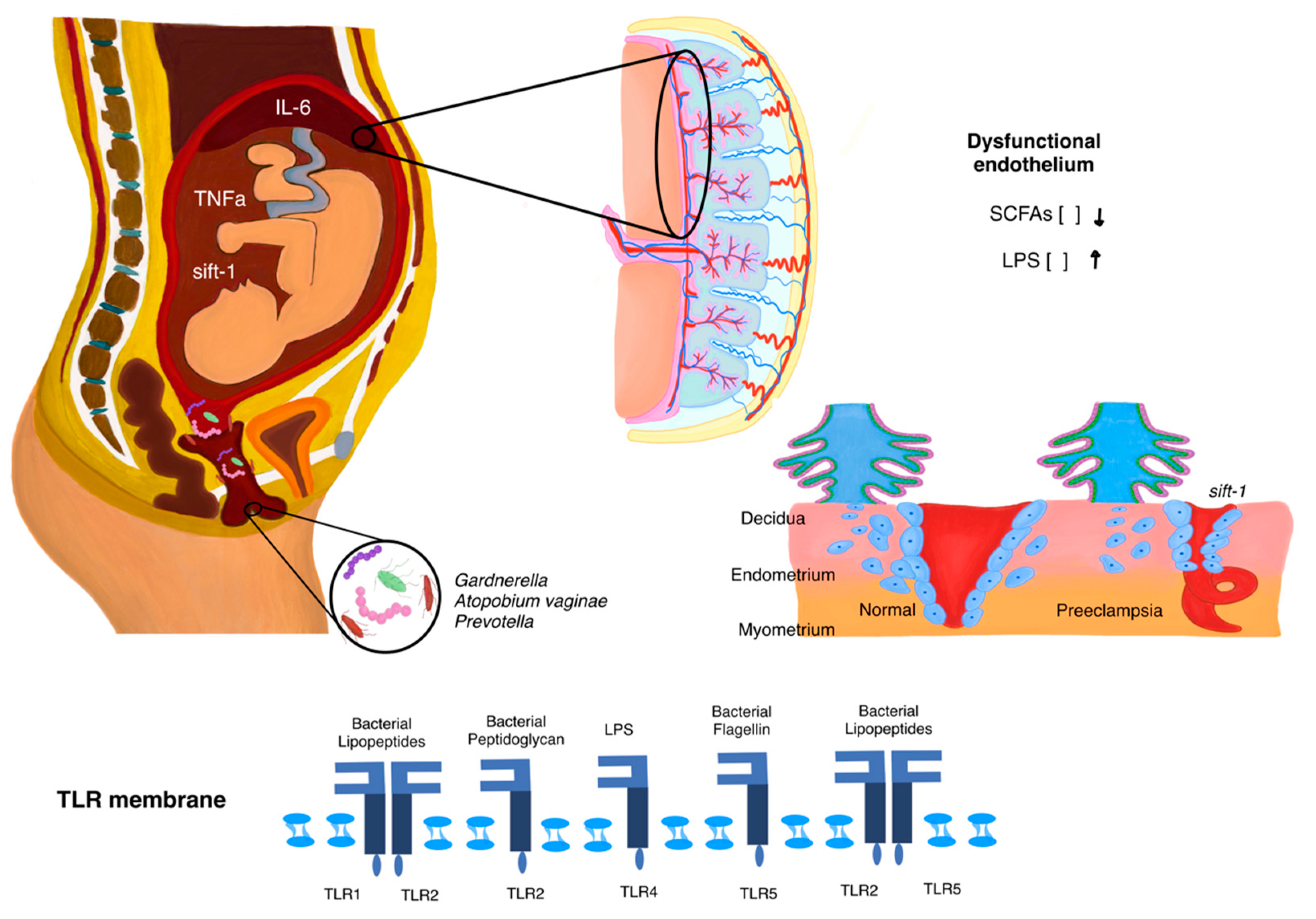 Microorganisms 13 00245 g002