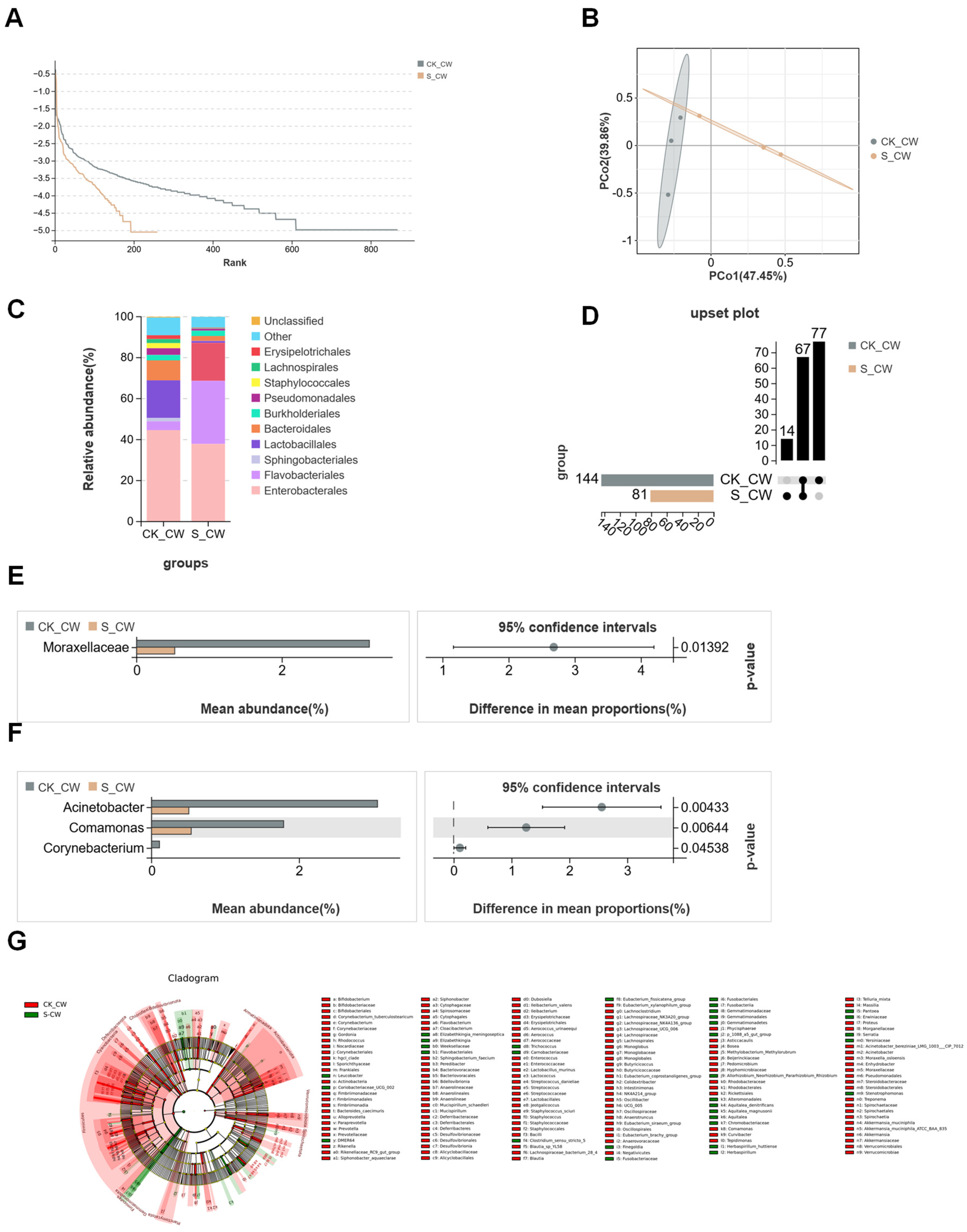 Microorganisms 13 00248 g005