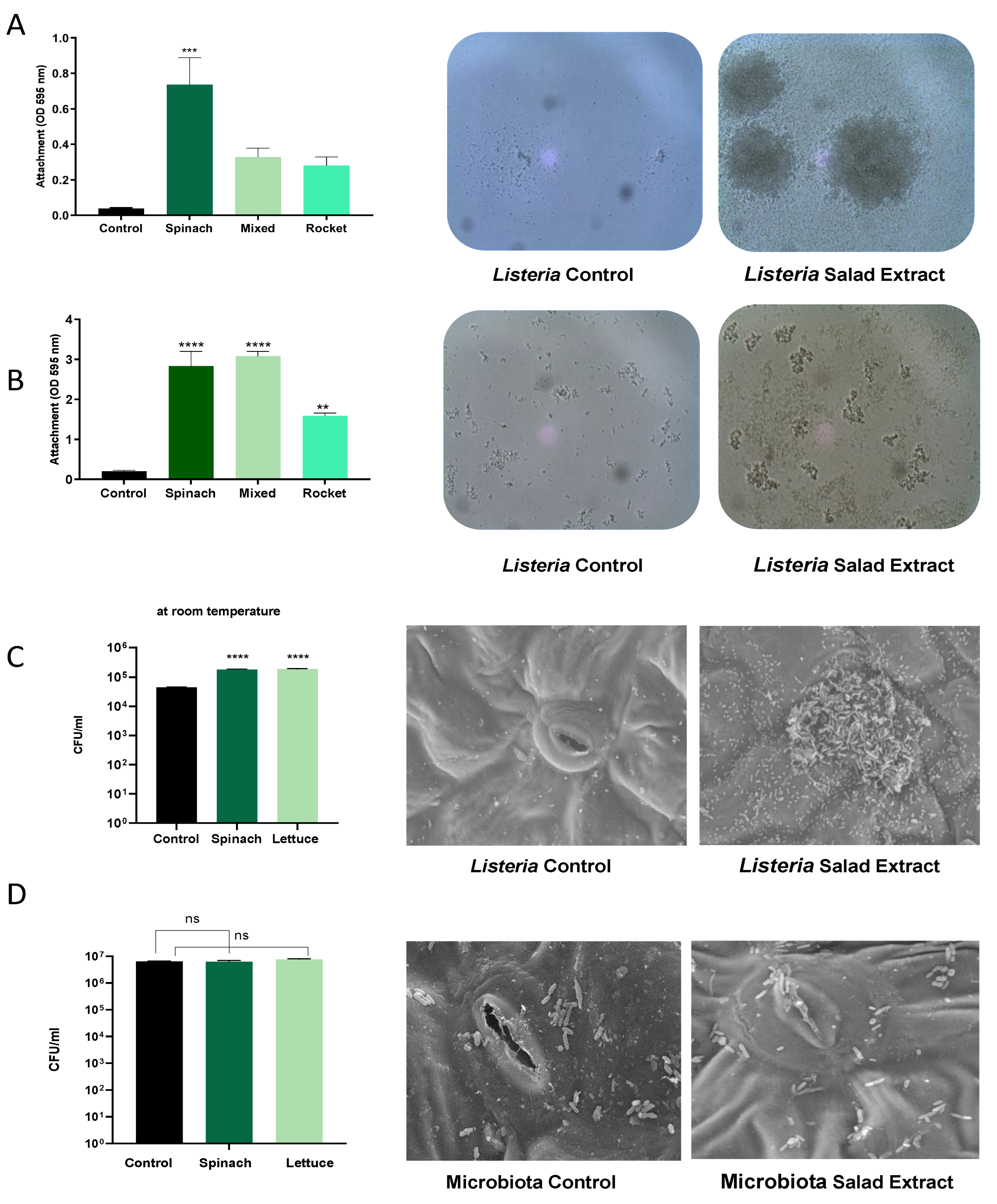 Microorganisms 13 00252 g002