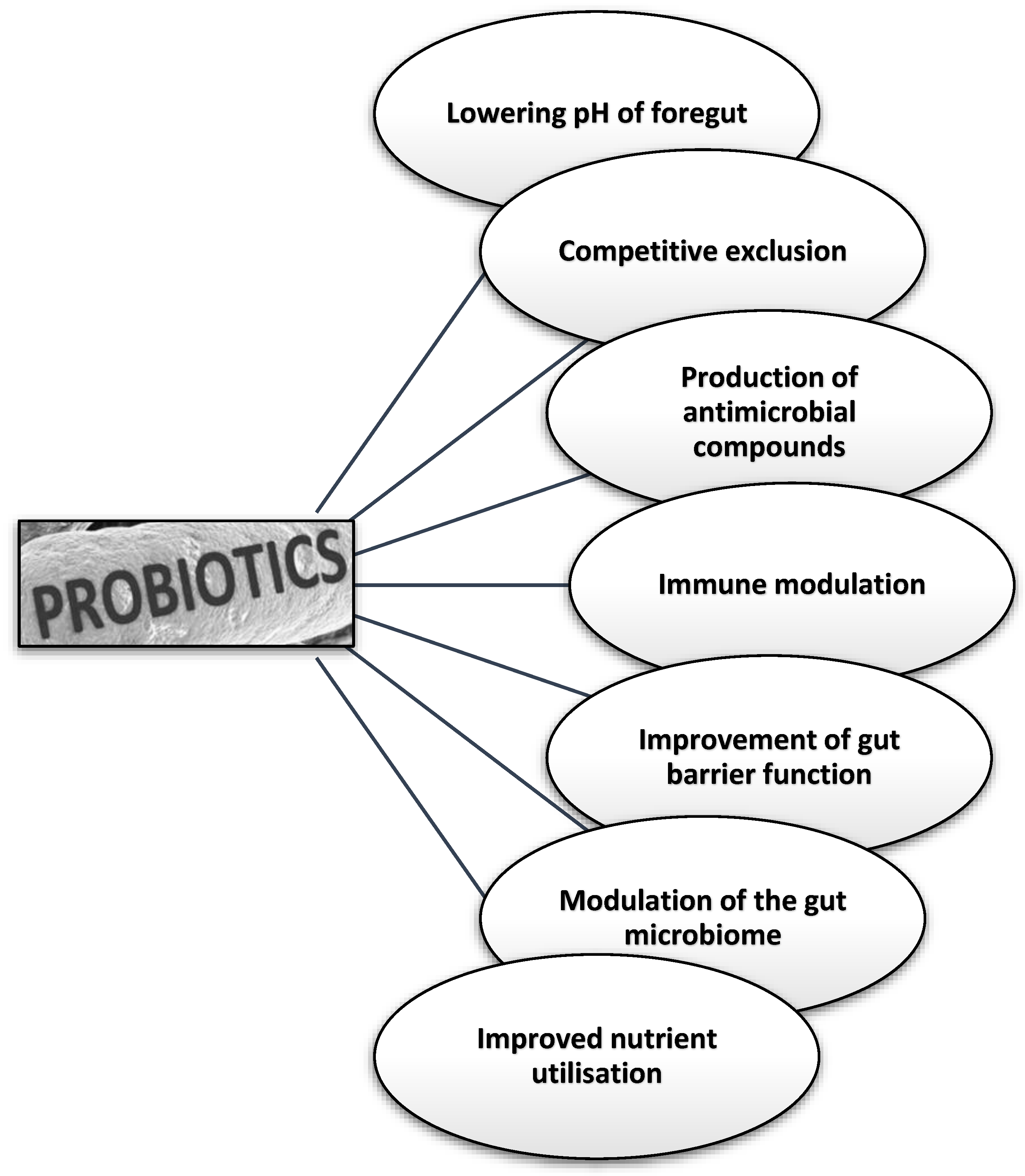 Microorganisms 13 00257 g001