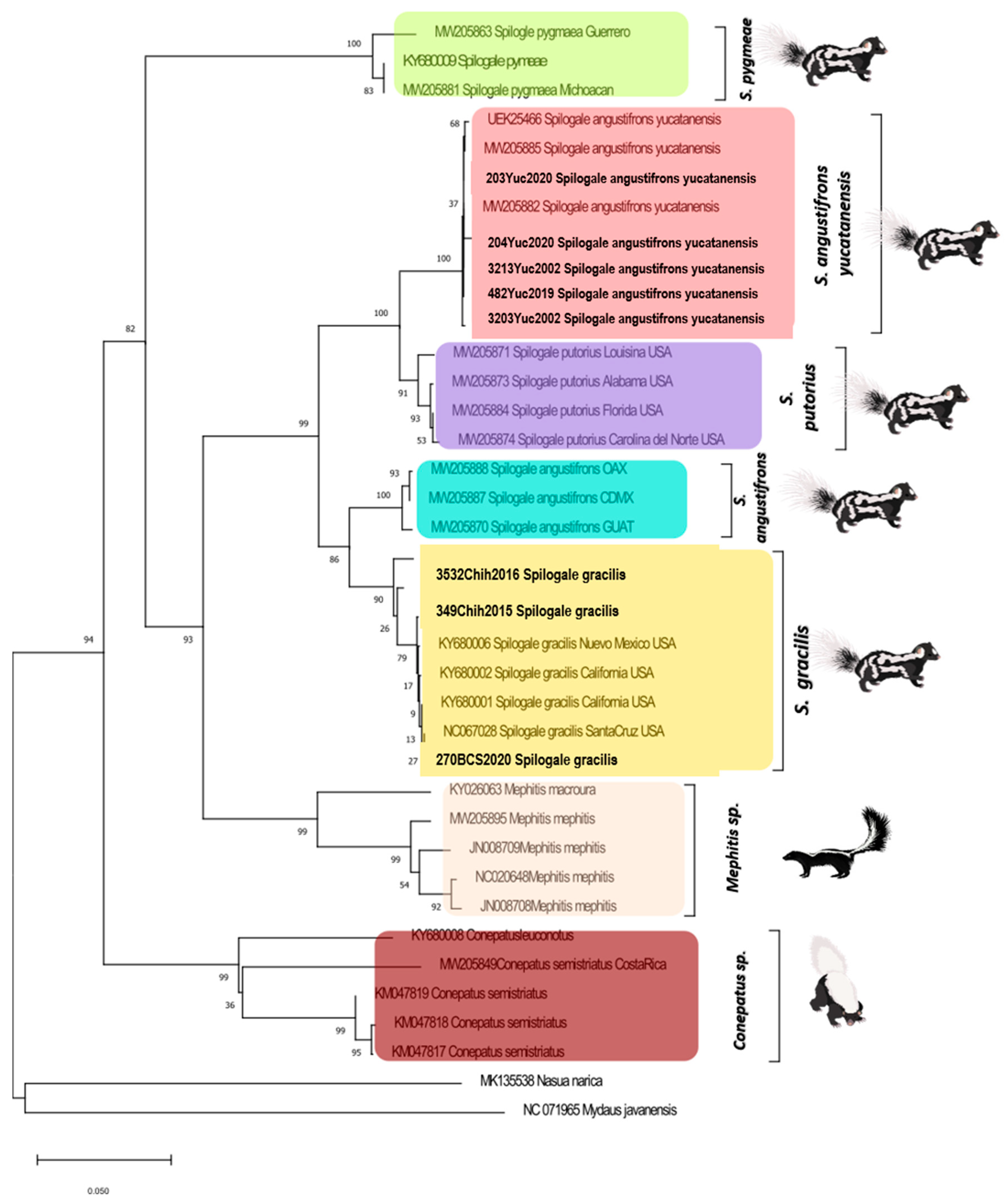 Microorganisms 13 00262 g003