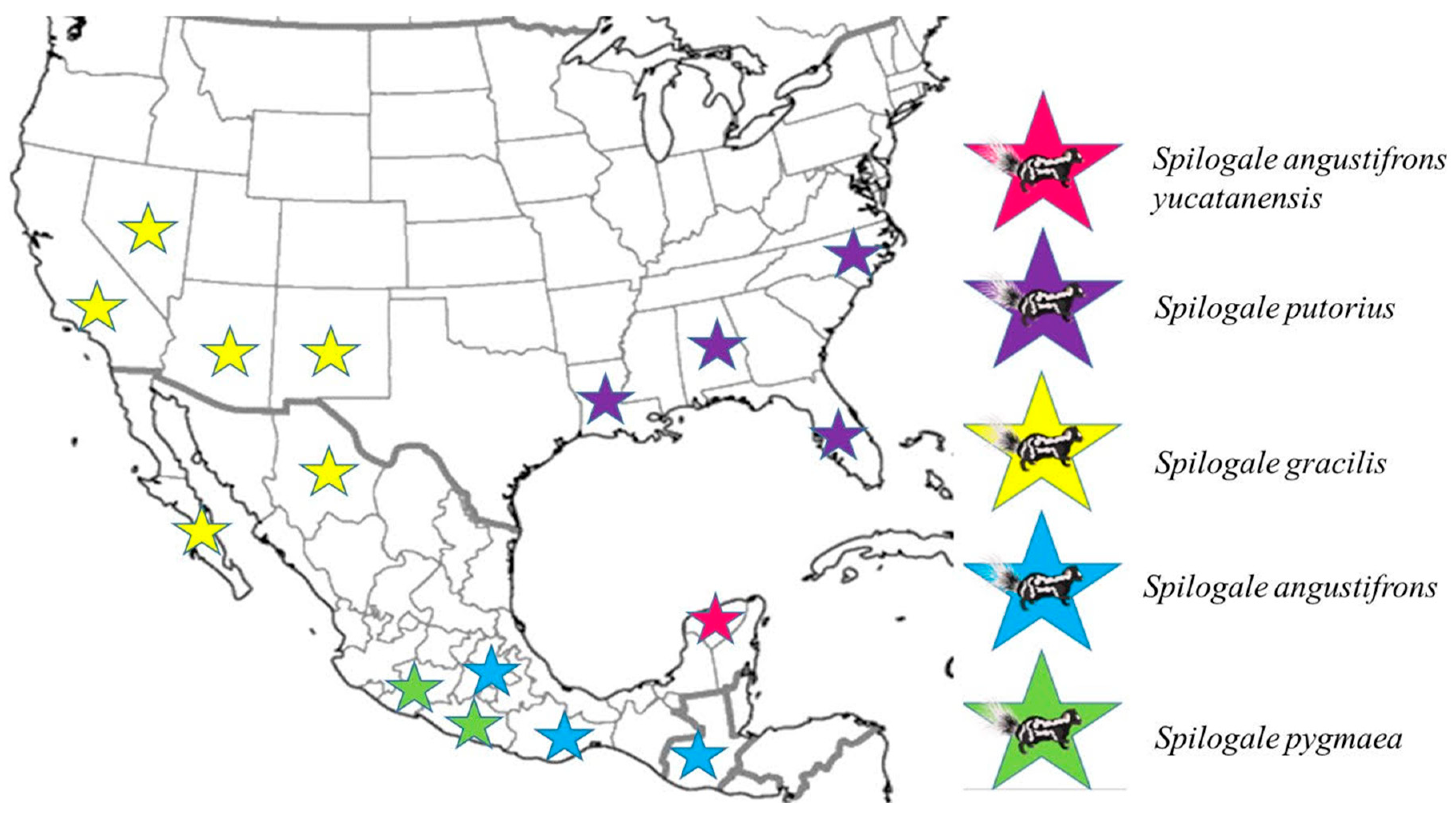 Microorganisms 13 00262 g004