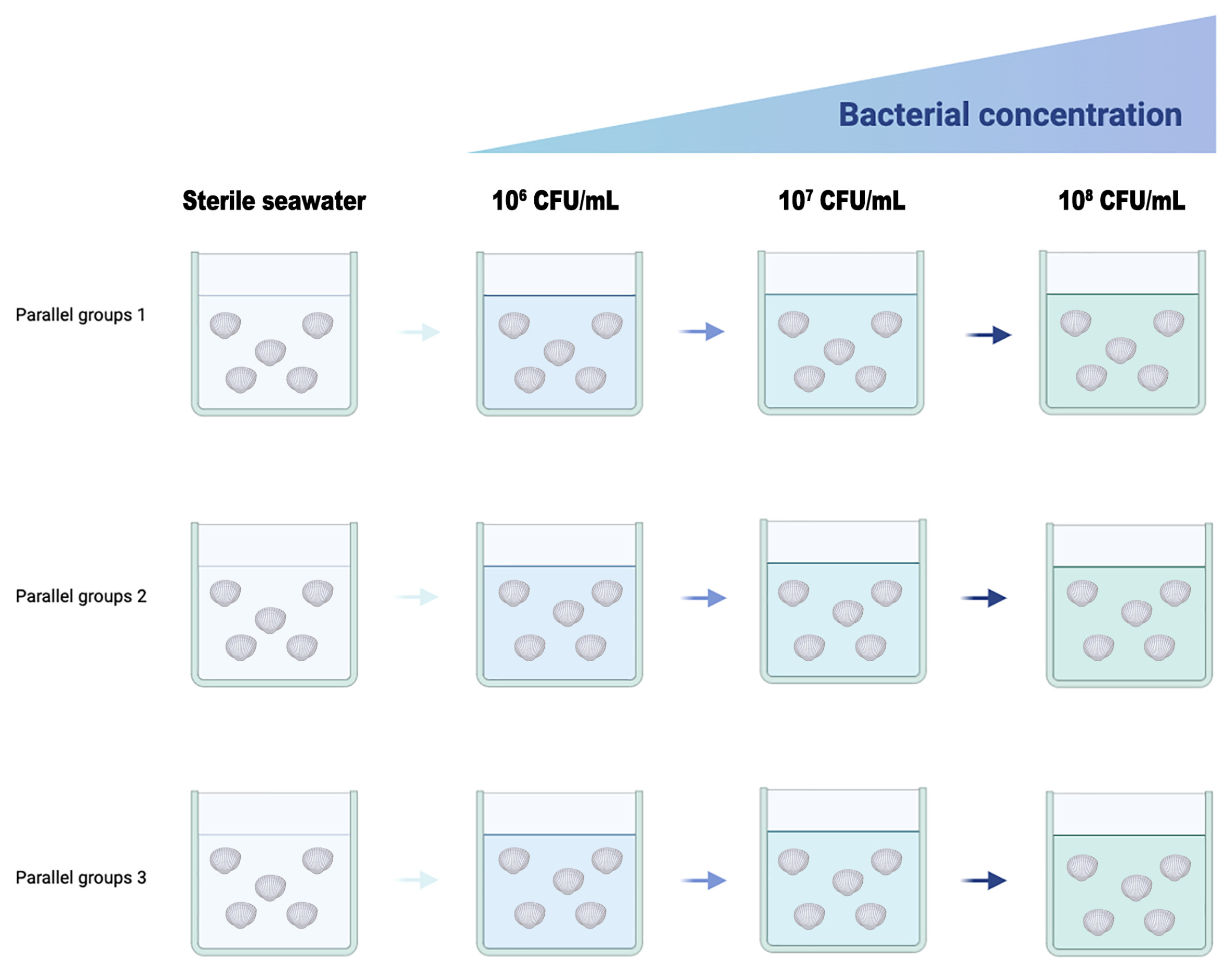 Microorganisms 13 00296 g001 Microorganisms 13 00296 g001