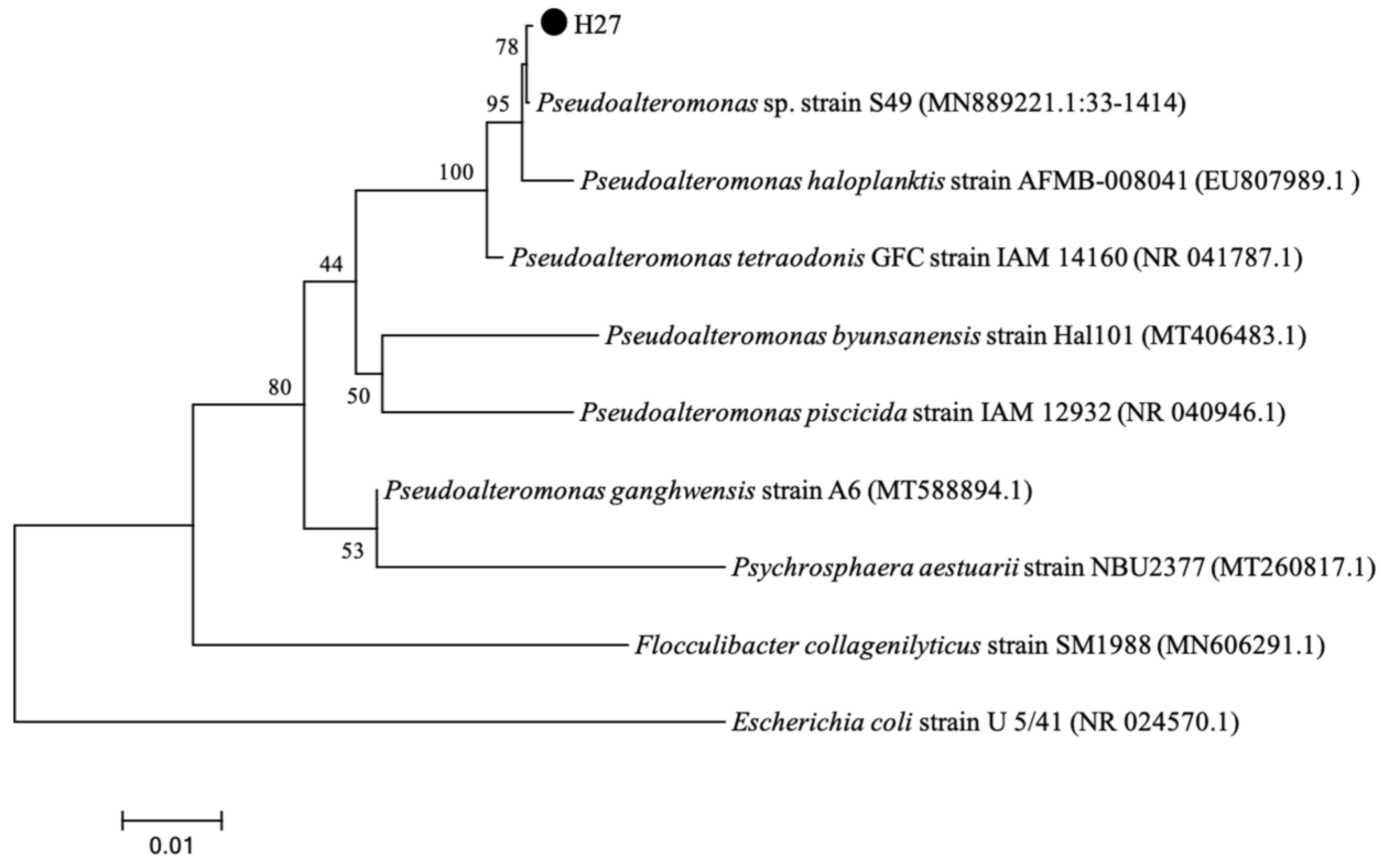 Microorganisms 13 00296 g006 Microorganisms 13 00296 g006