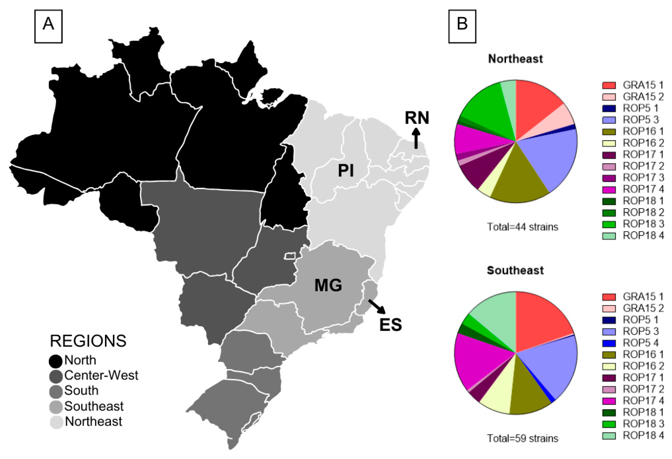 Microorganisms 13 00301 g001