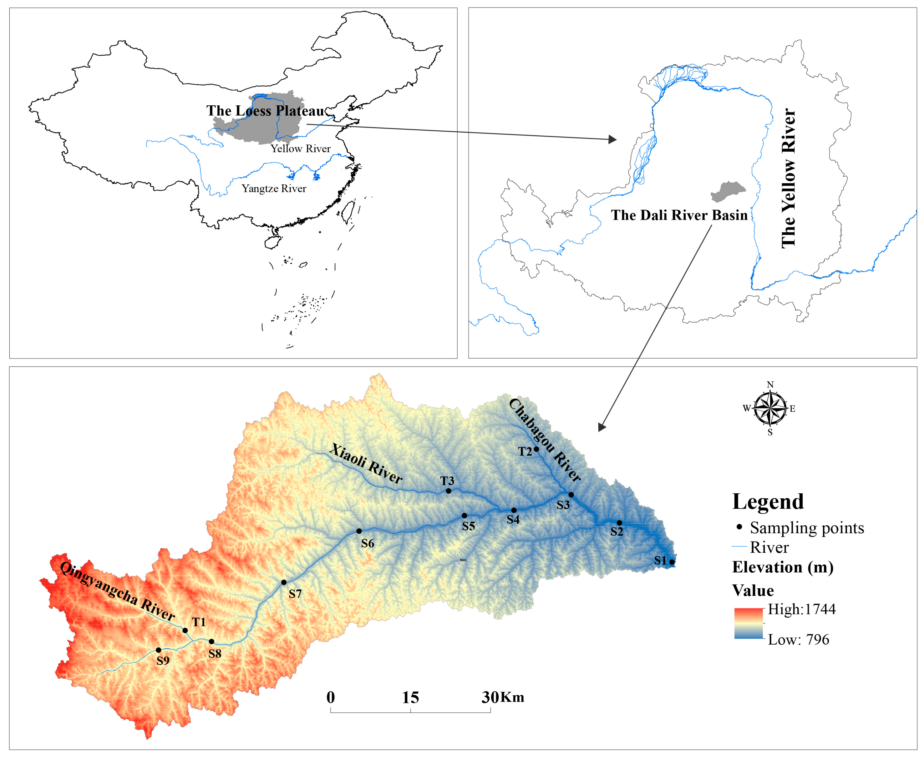 Microorganisms 13 00319 g001