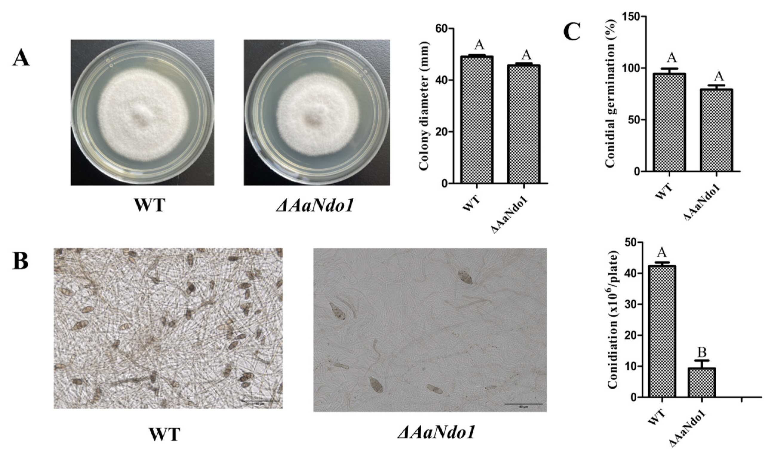 Microorganisms 13 00343 g006
