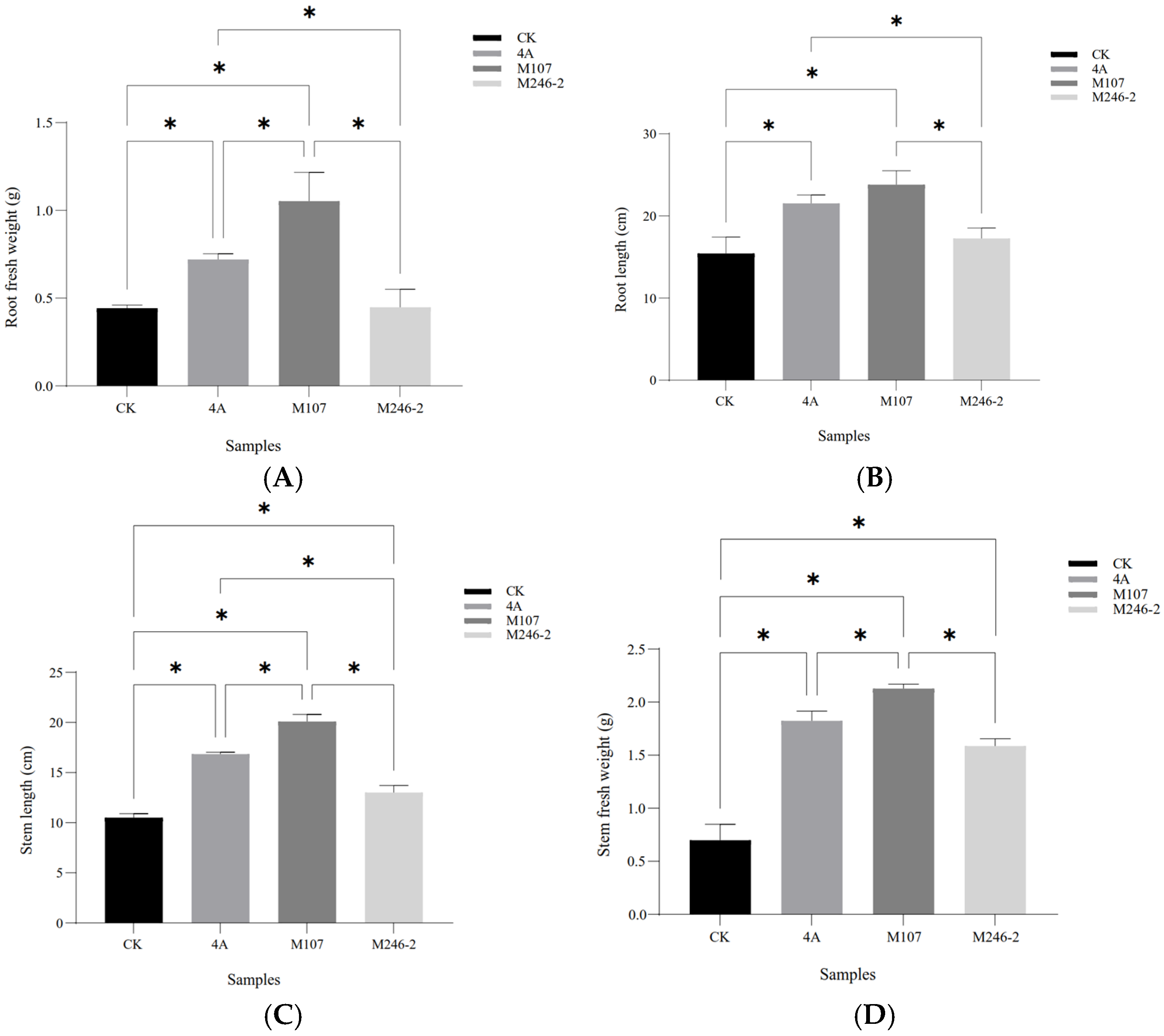 Microorganisms 13 00346 g004