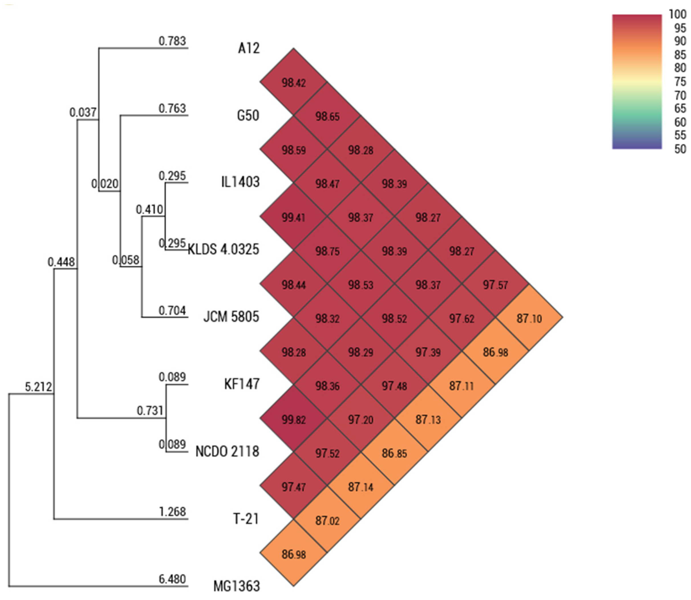 Microorganisms 13 00388 g001
