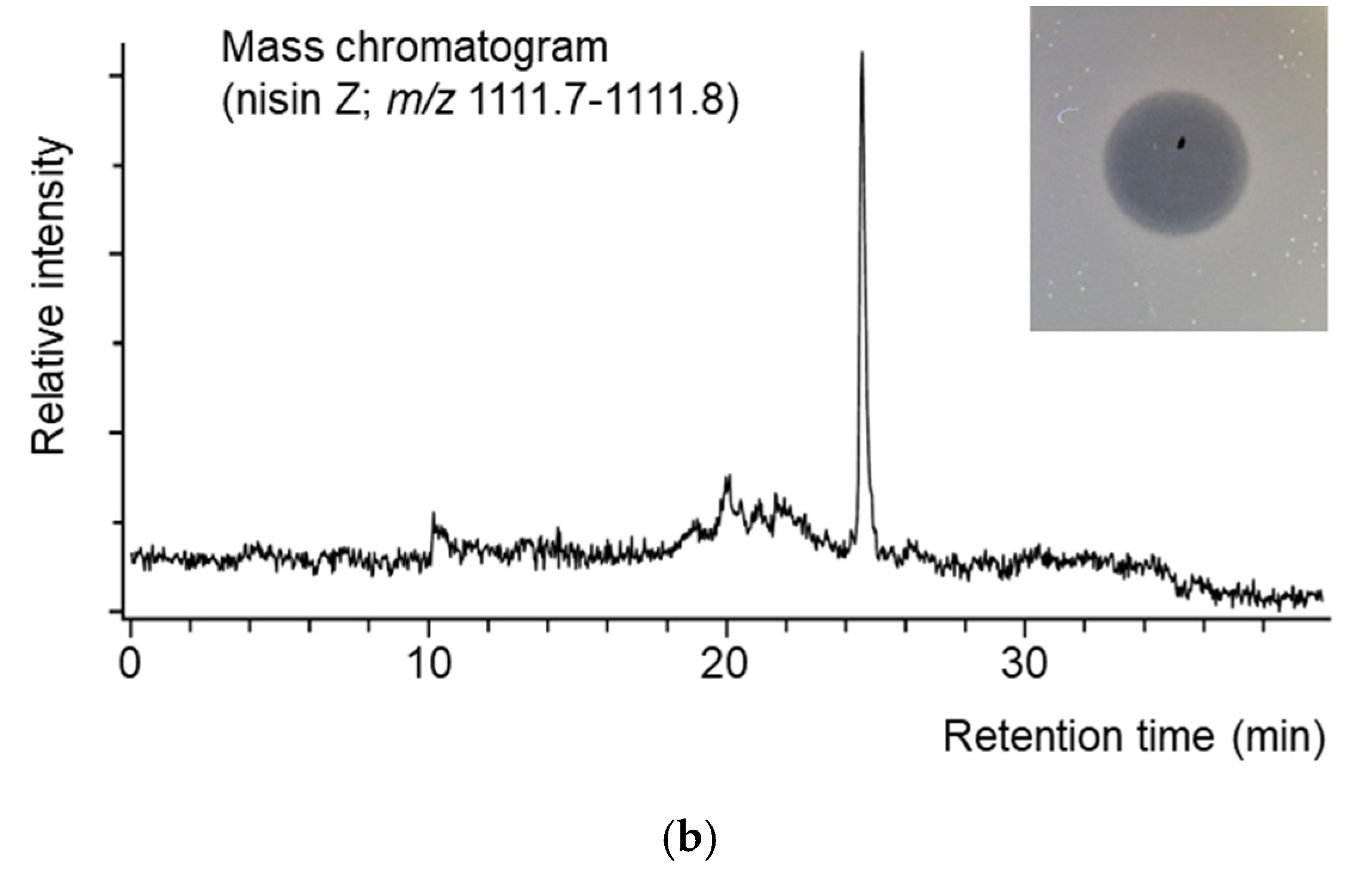 Microorganisms 13 00388 g005b