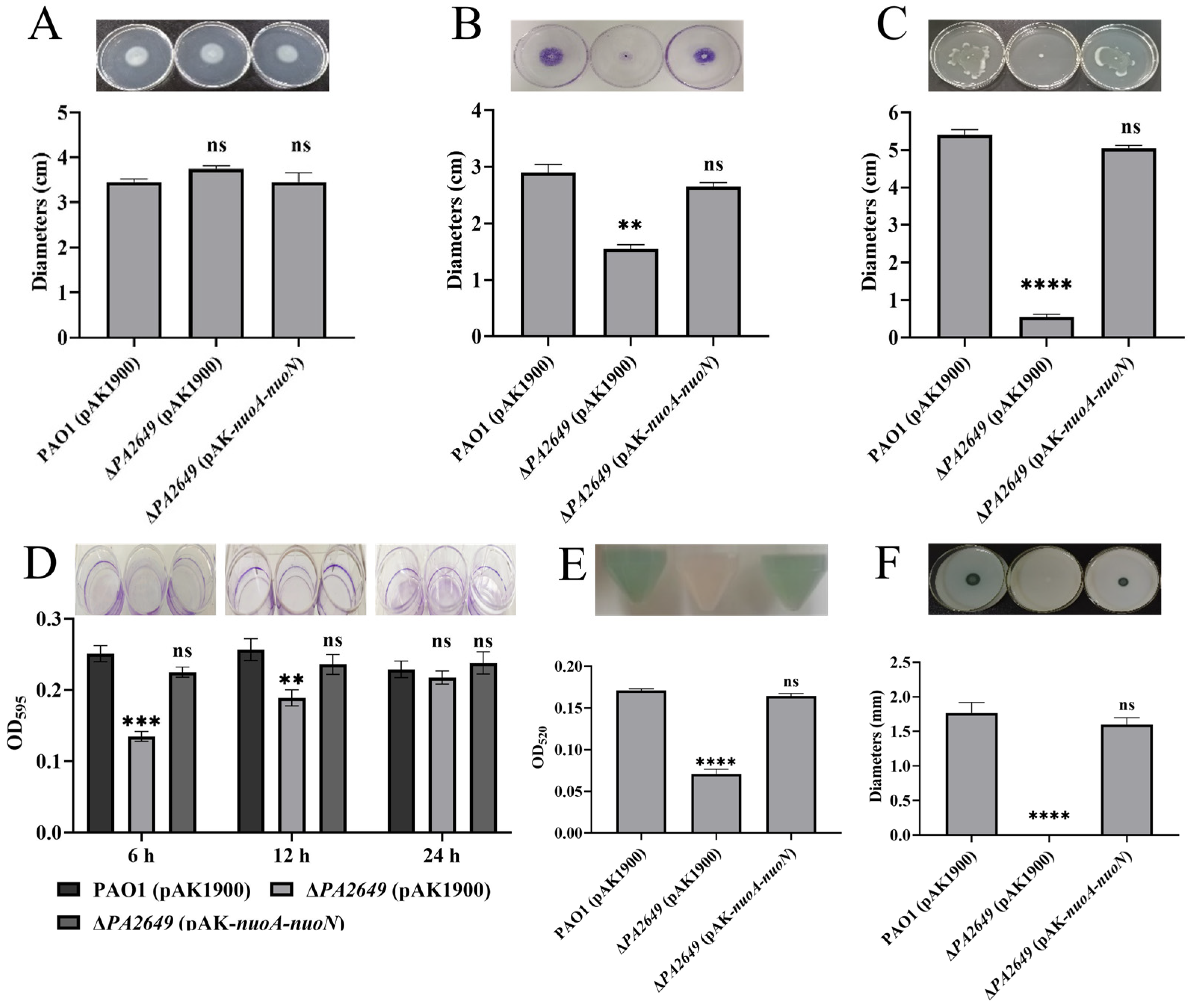 Microorganisms 13 00392 g007