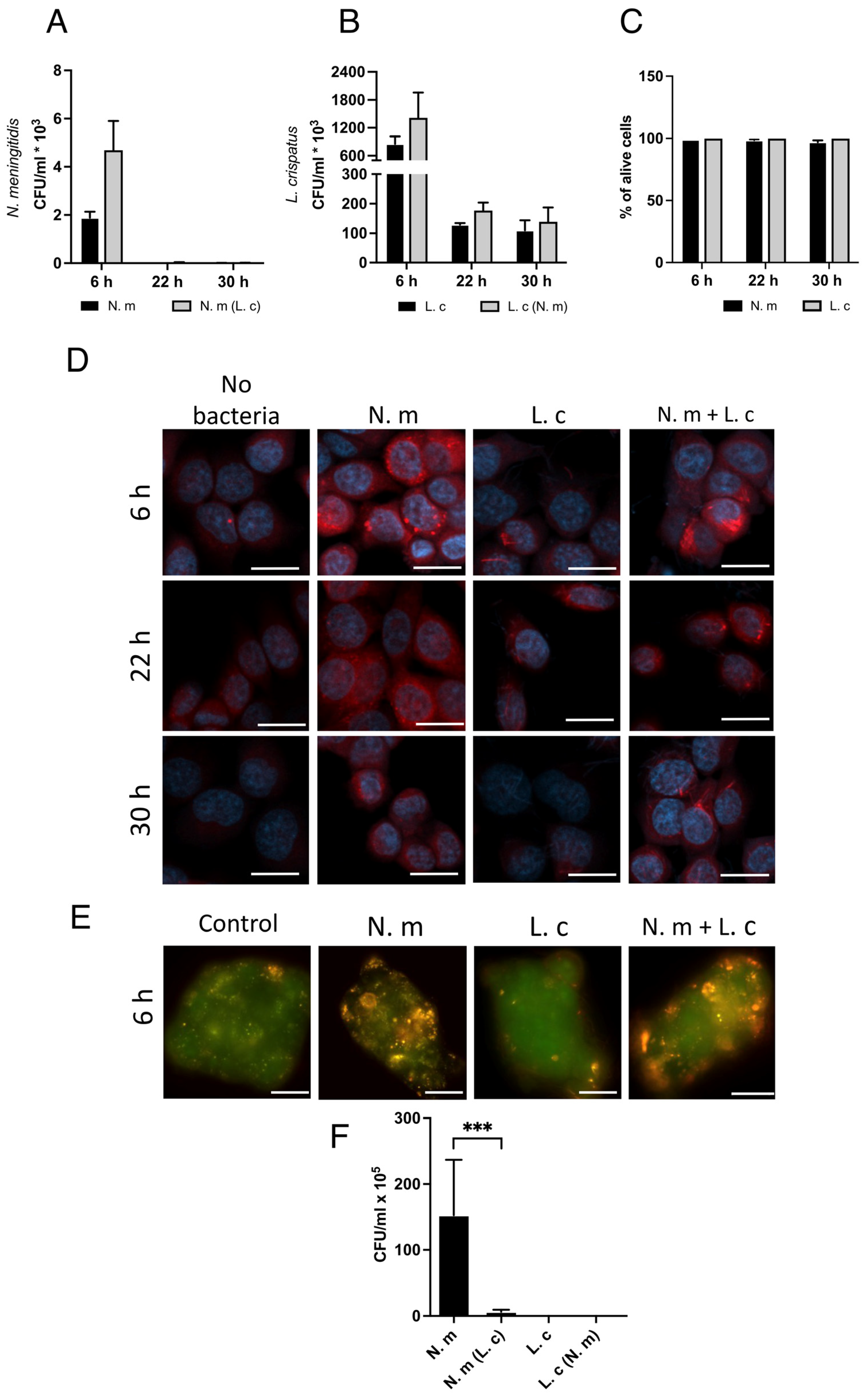 Microorganisms 13 00479 g006