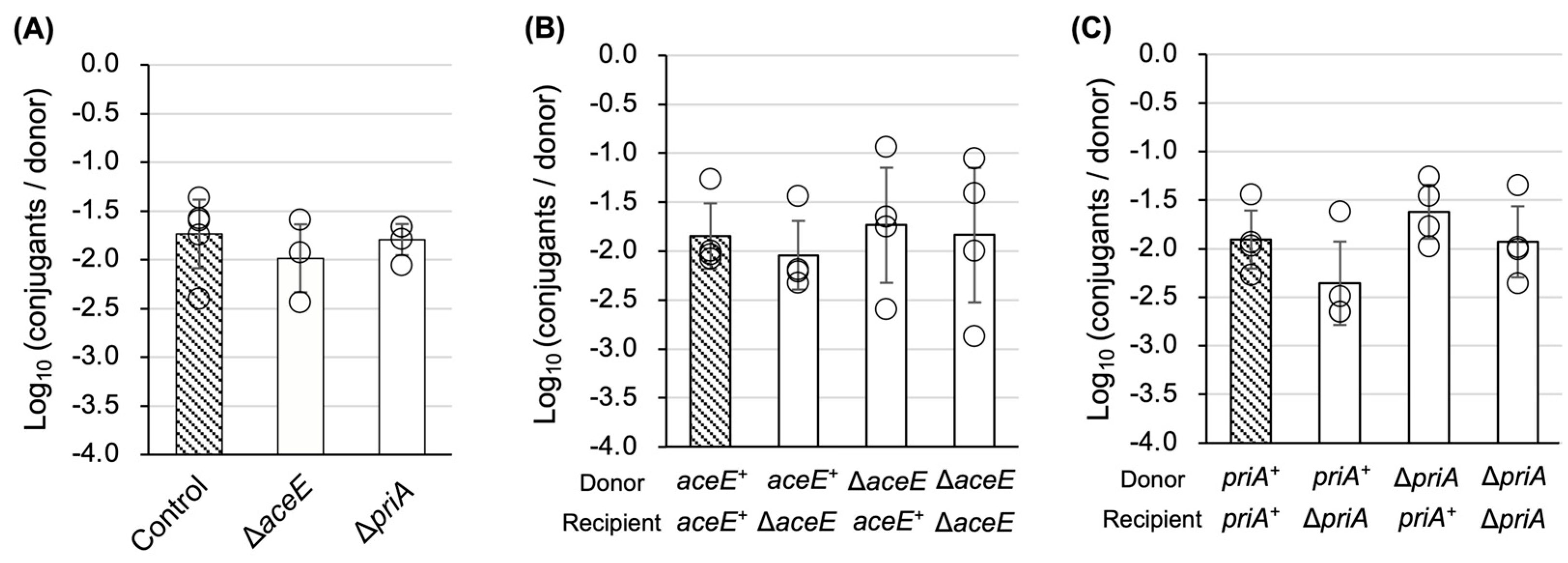 Microorganisms 13 00488 g004