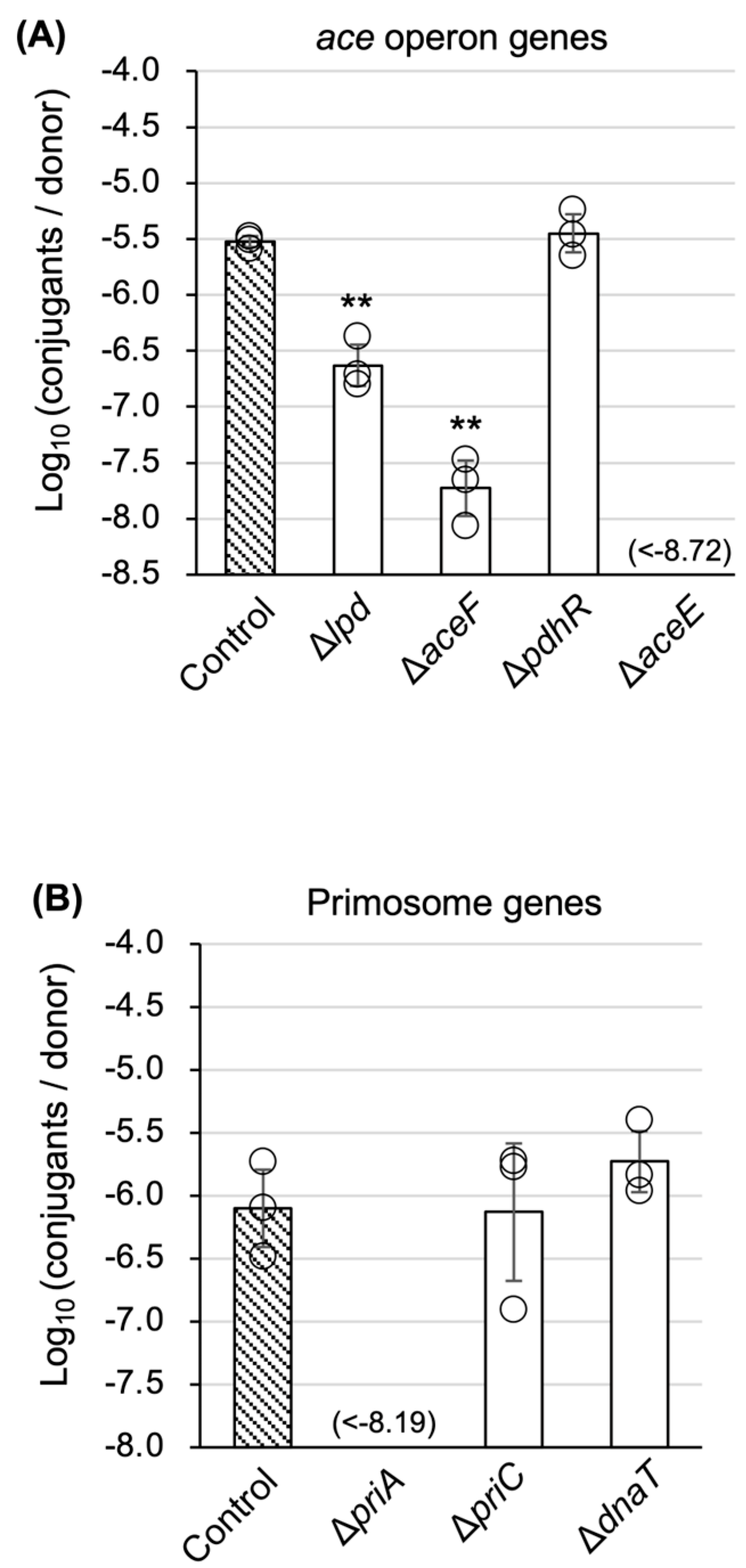 Microorganisms 13 00488 g005