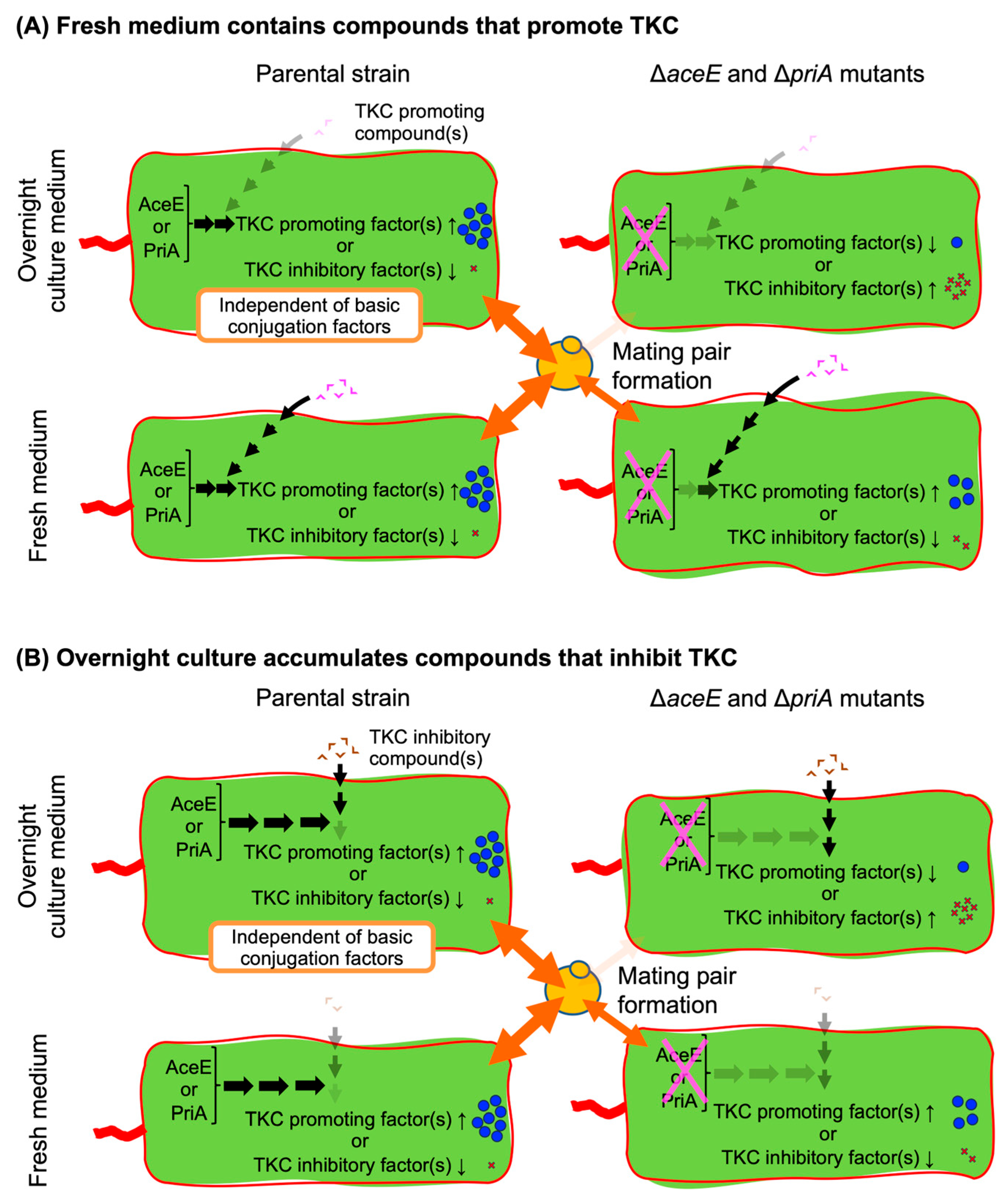 Microorganisms 13 00488 g007