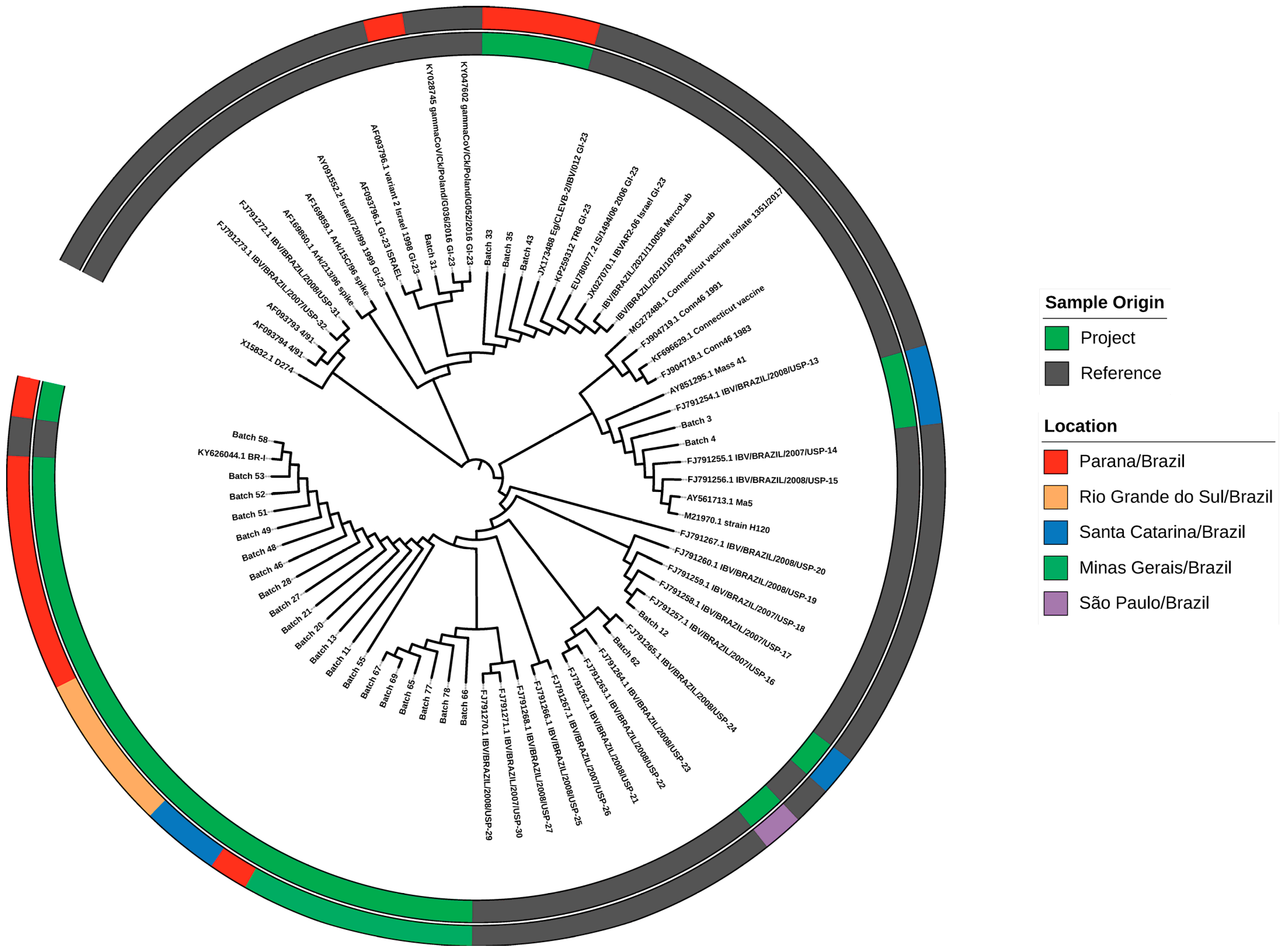 Microorganisms 13 00521 g002 Microorganisms 13 00521 g002