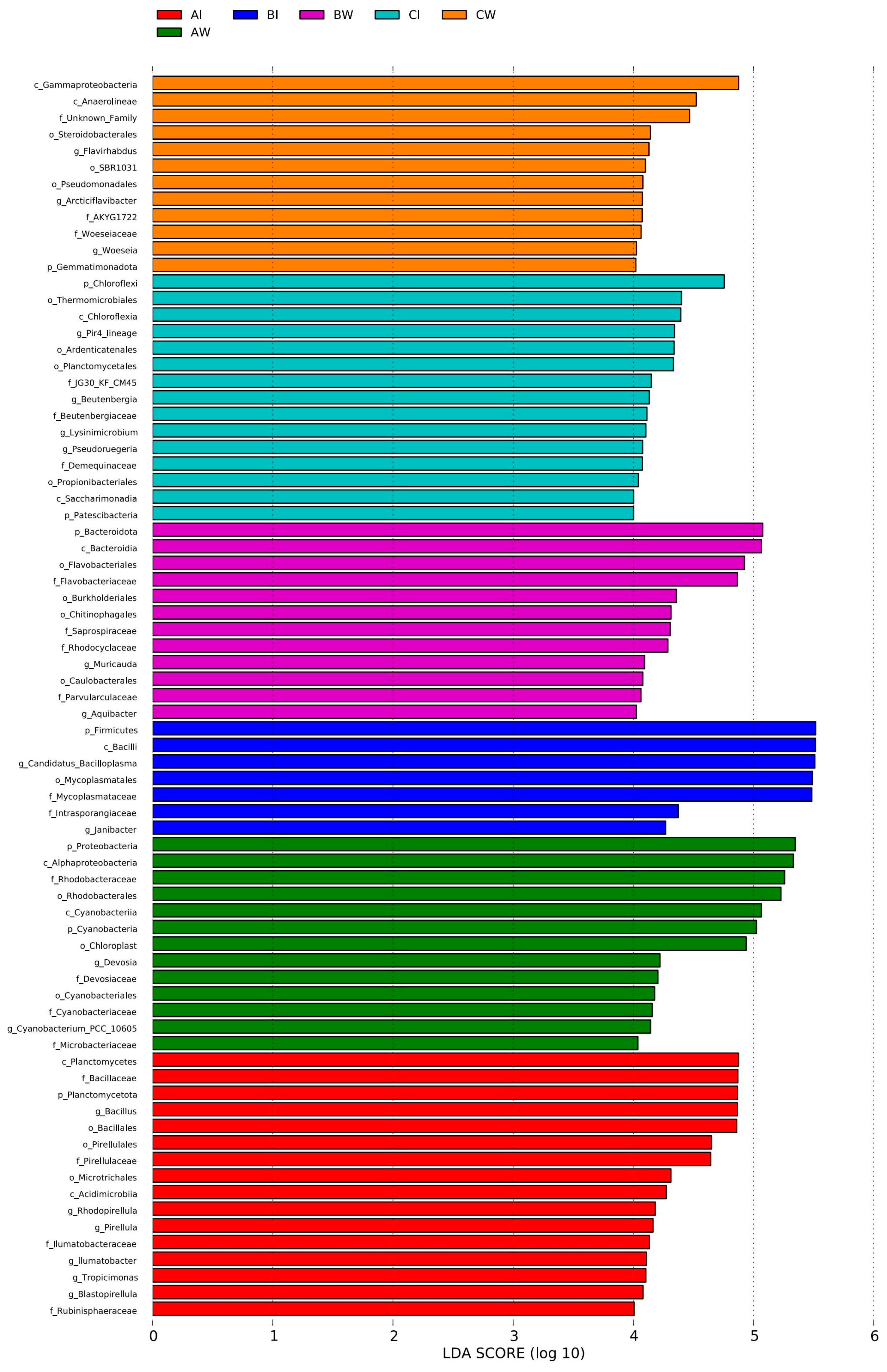 Microorganisms 13 00546 g004