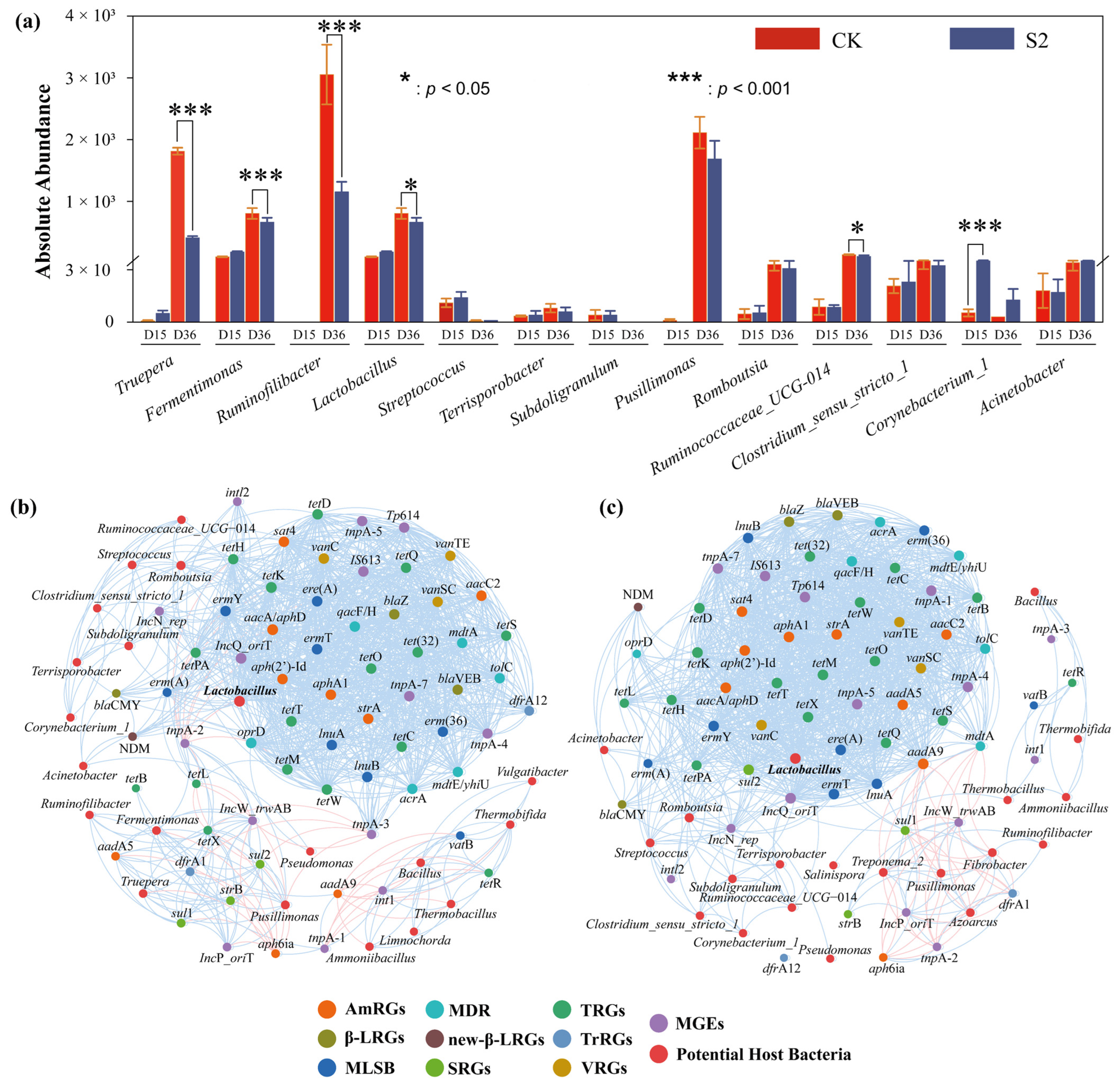 Microorganisms 13 00571 g006