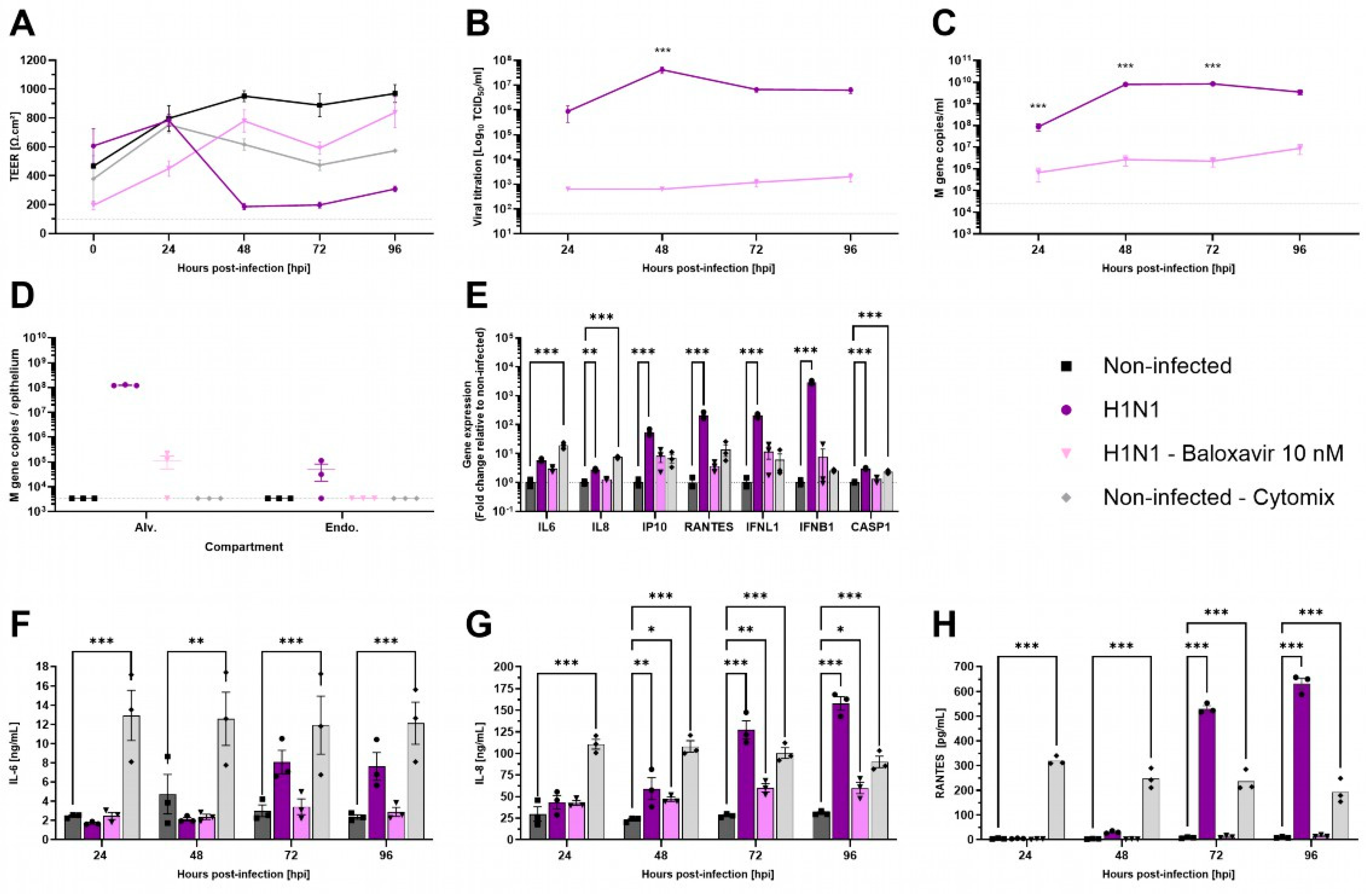 Microorganisms 13 00572 g004