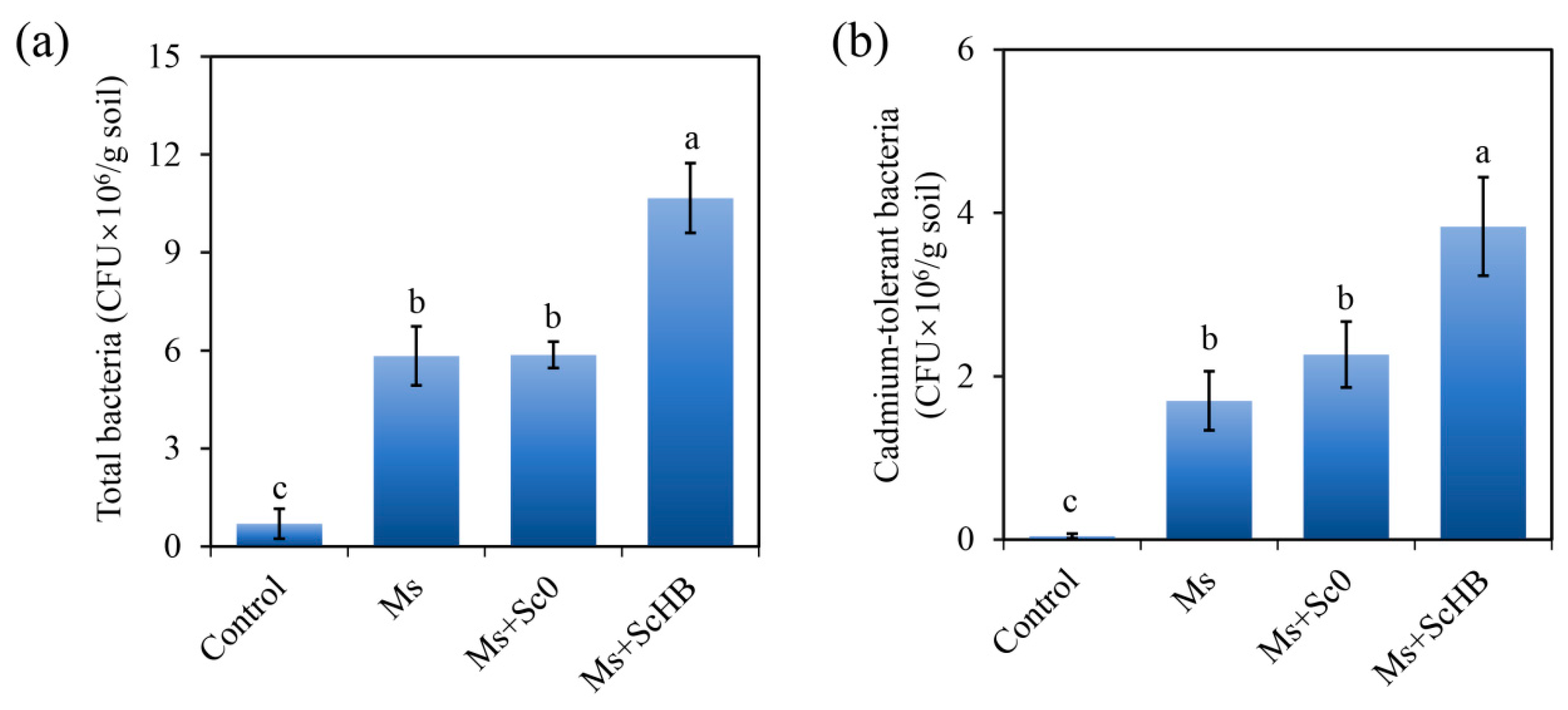 Microorganisms 13 00612 g006