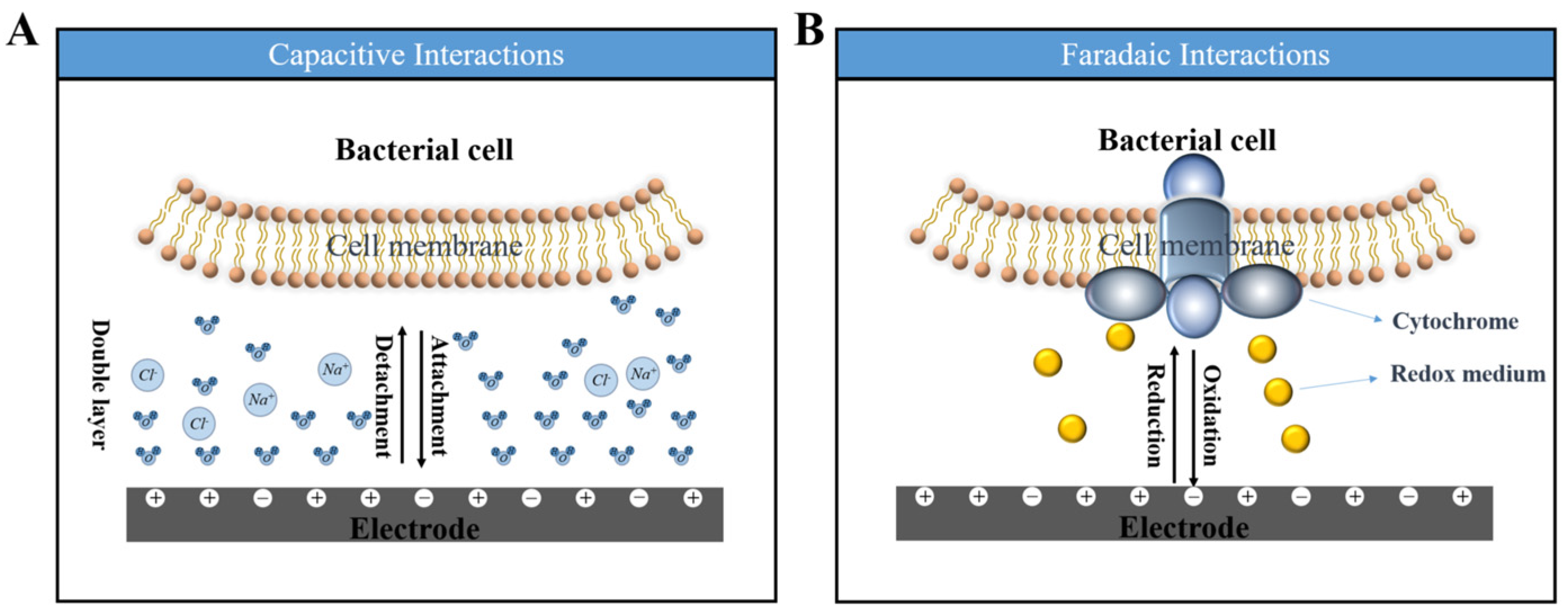 Microorganisms 13 00631 g001