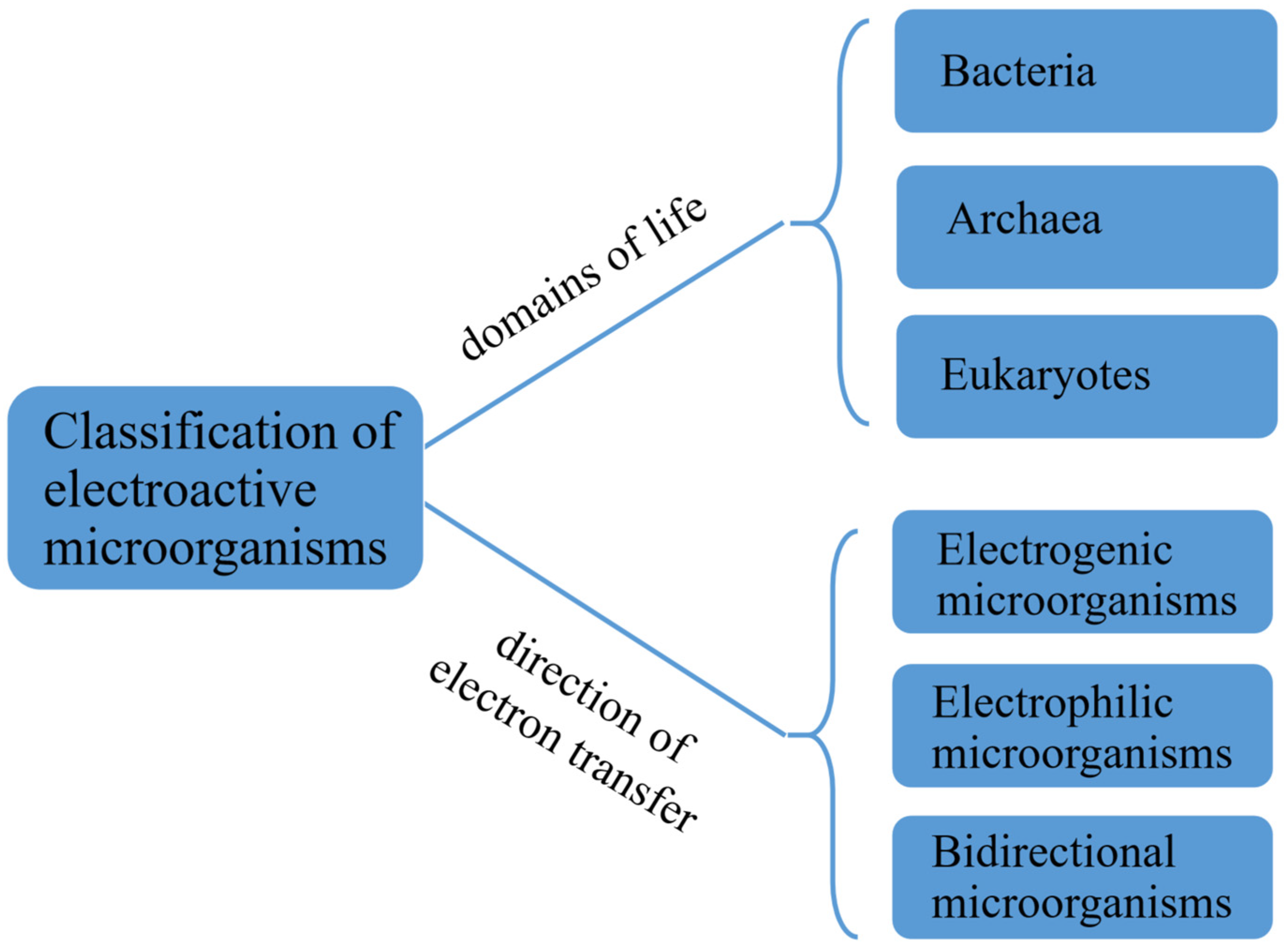 Microorganisms 13 00631 g002