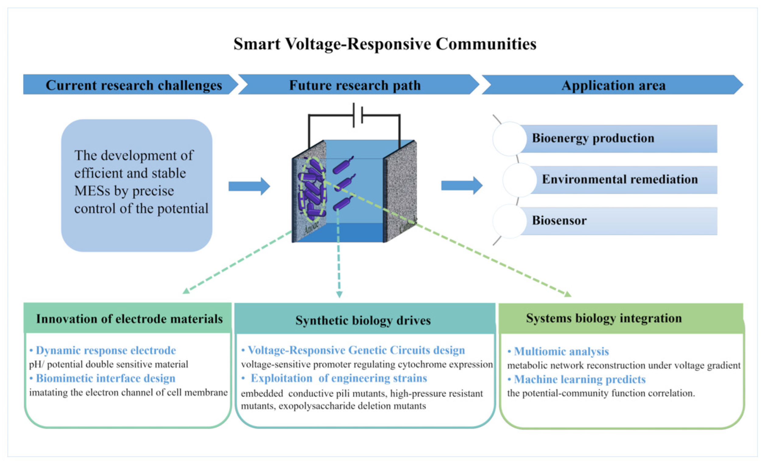 Microorganisms 13 00631 g006