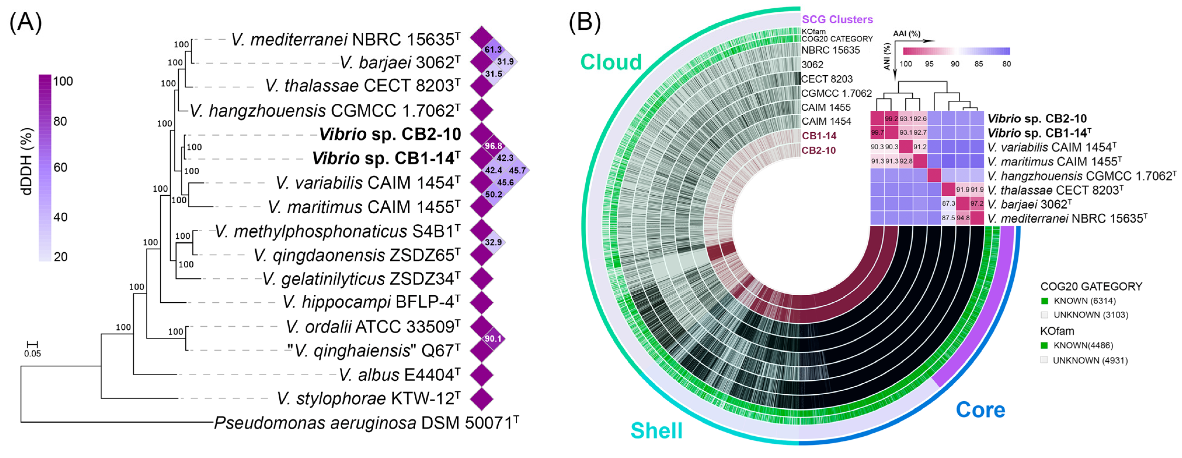 Microorganisms 13 00638 g002