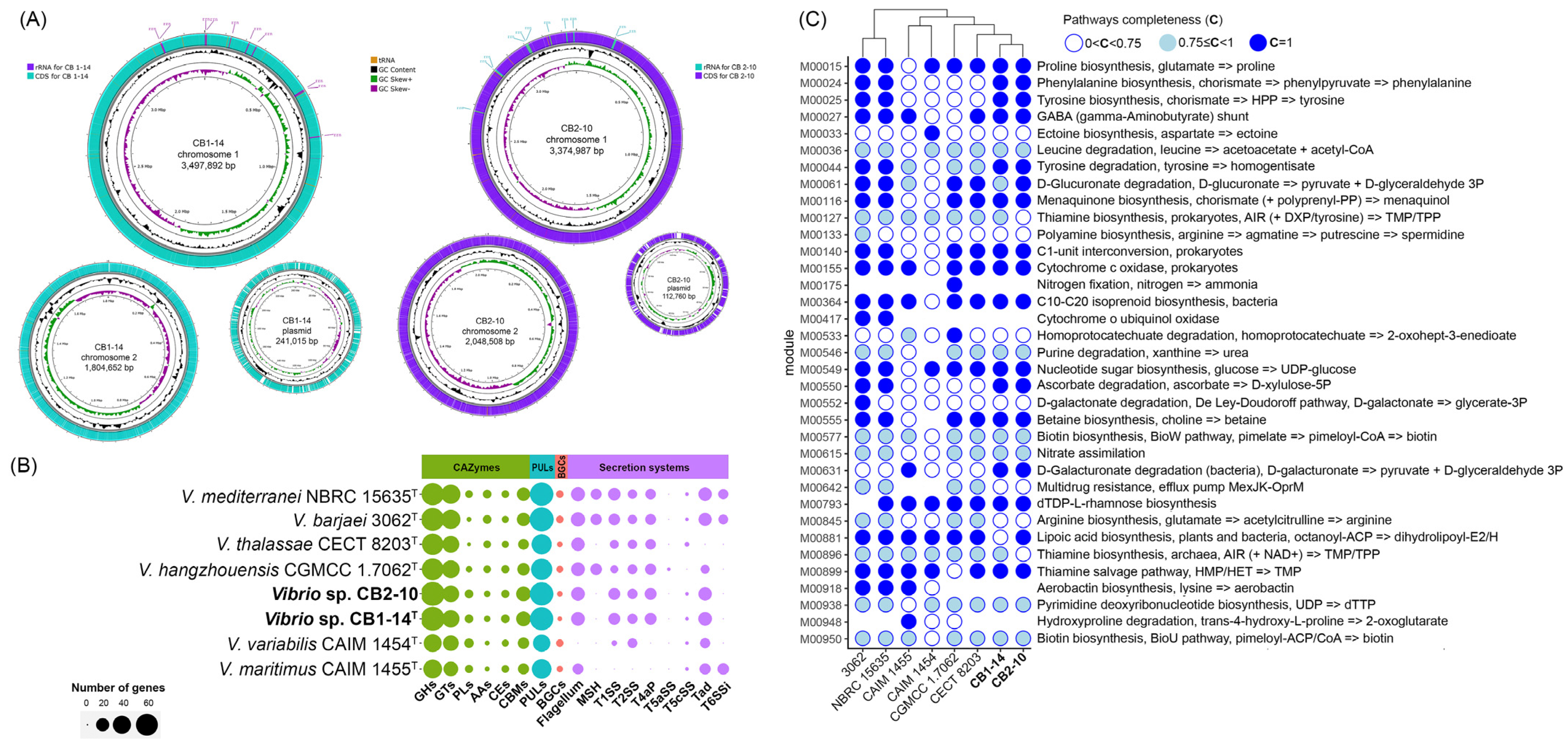 Microorganisms 13 00638 g003