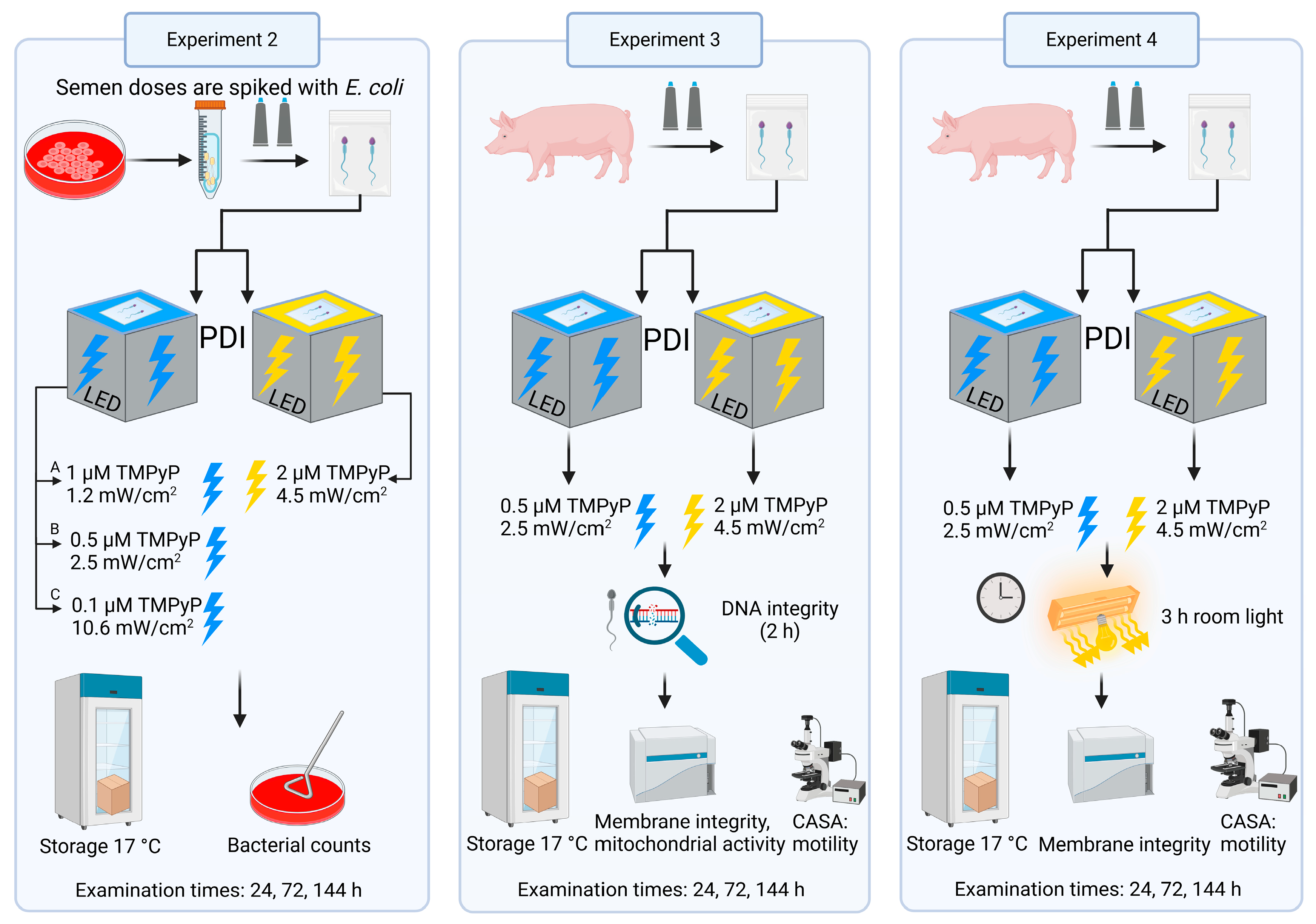 Microorganisms 13 00643 g002