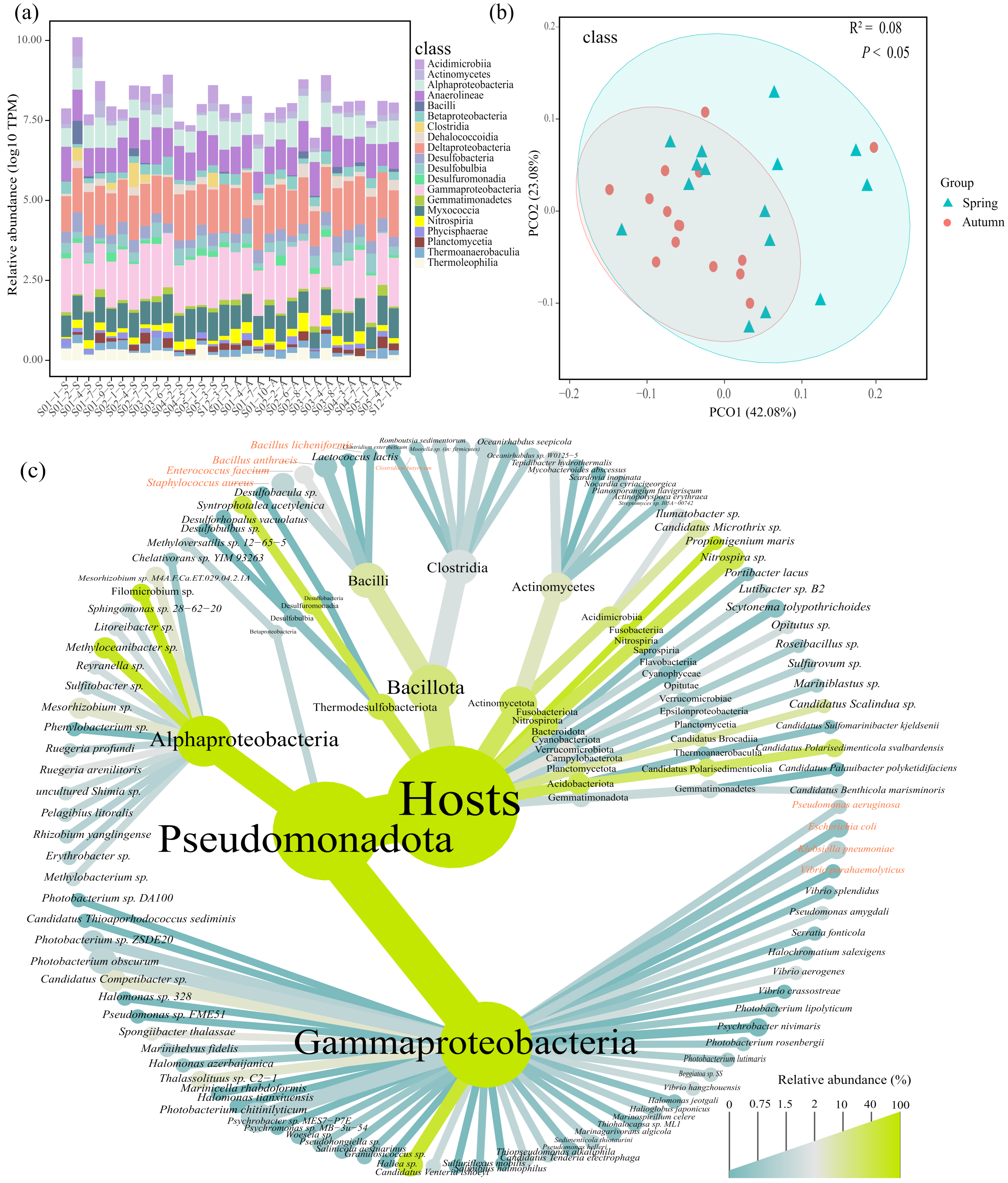 Microorganisms 13 00697 g002