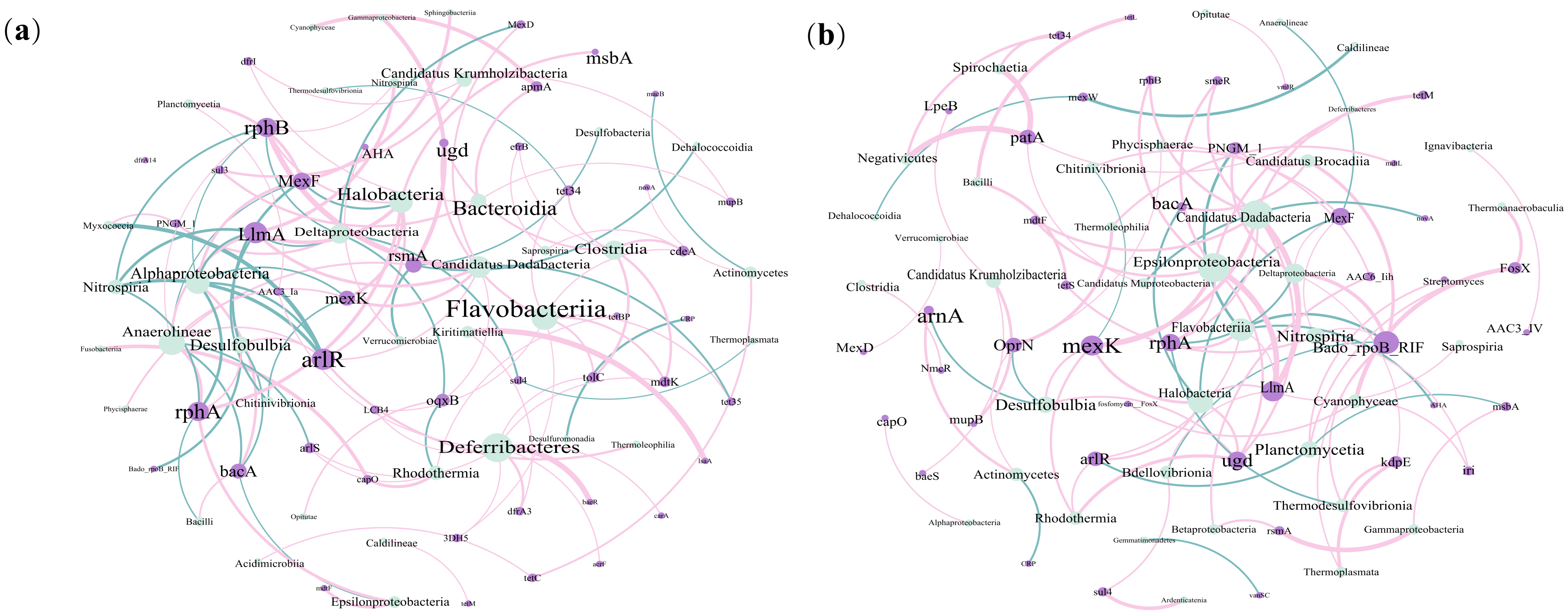 Microorganisms 13 00697 g005