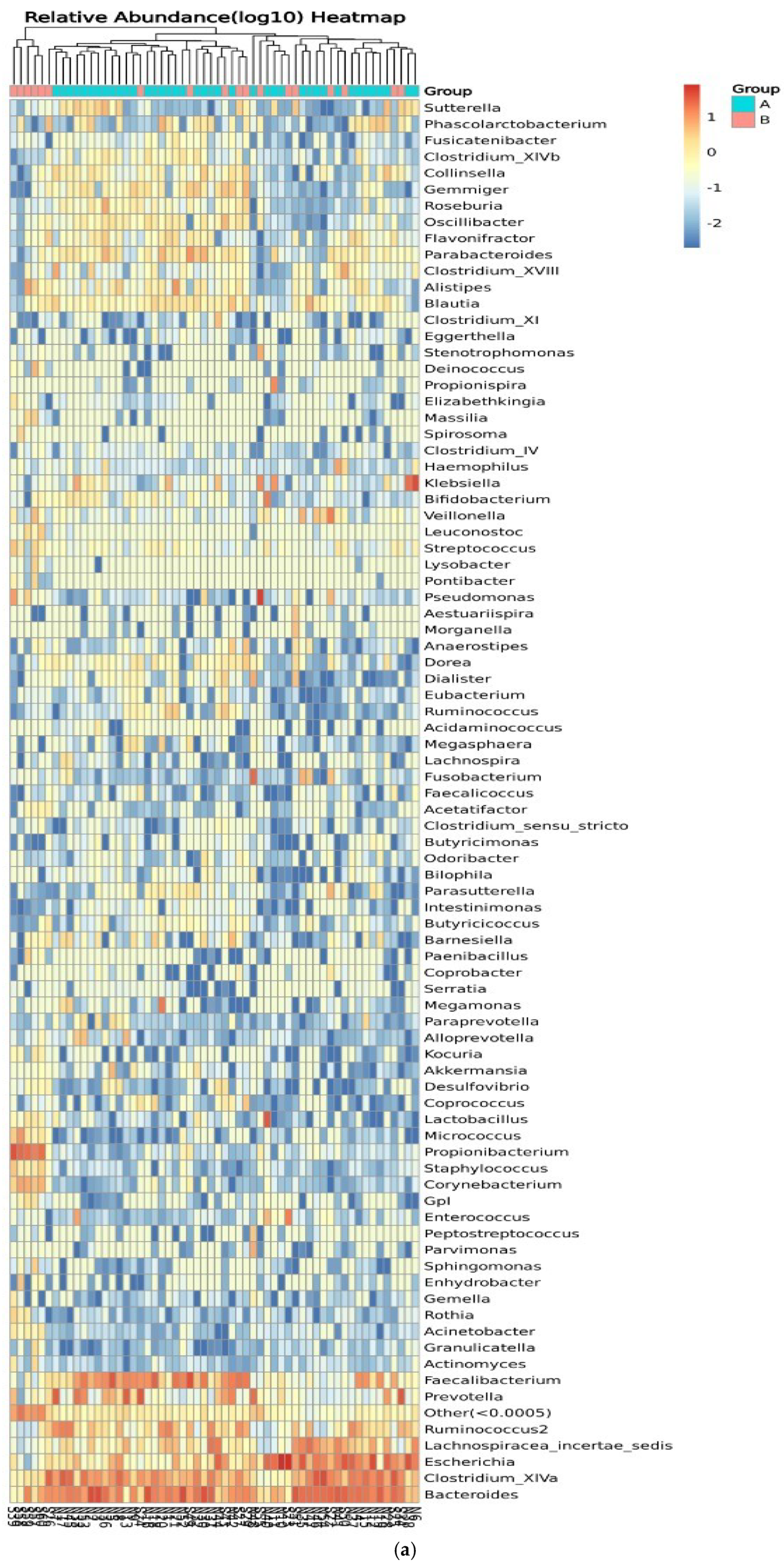 Microorganisms 13 00710 g008a