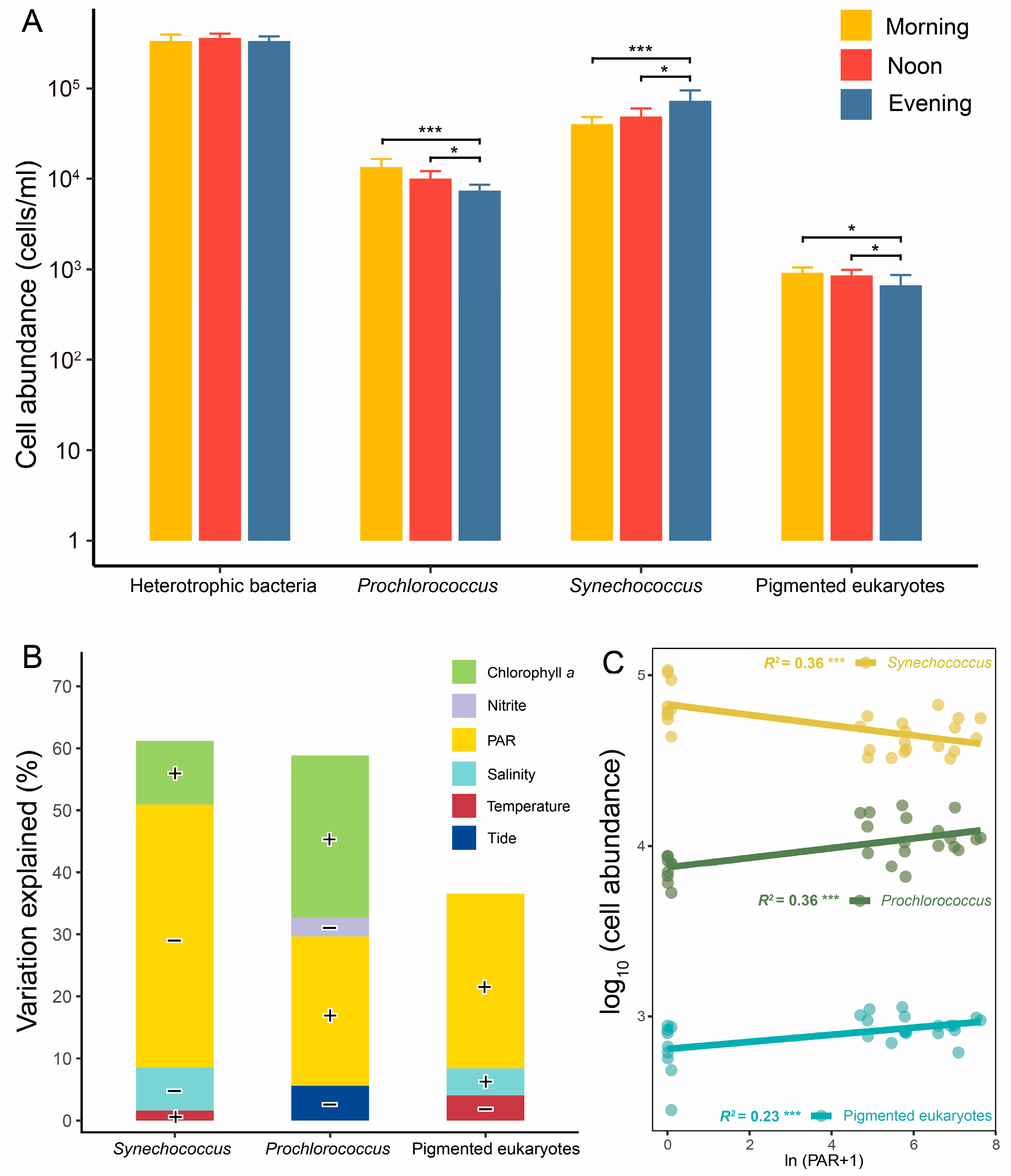 Microorganisms 13 00727 g002