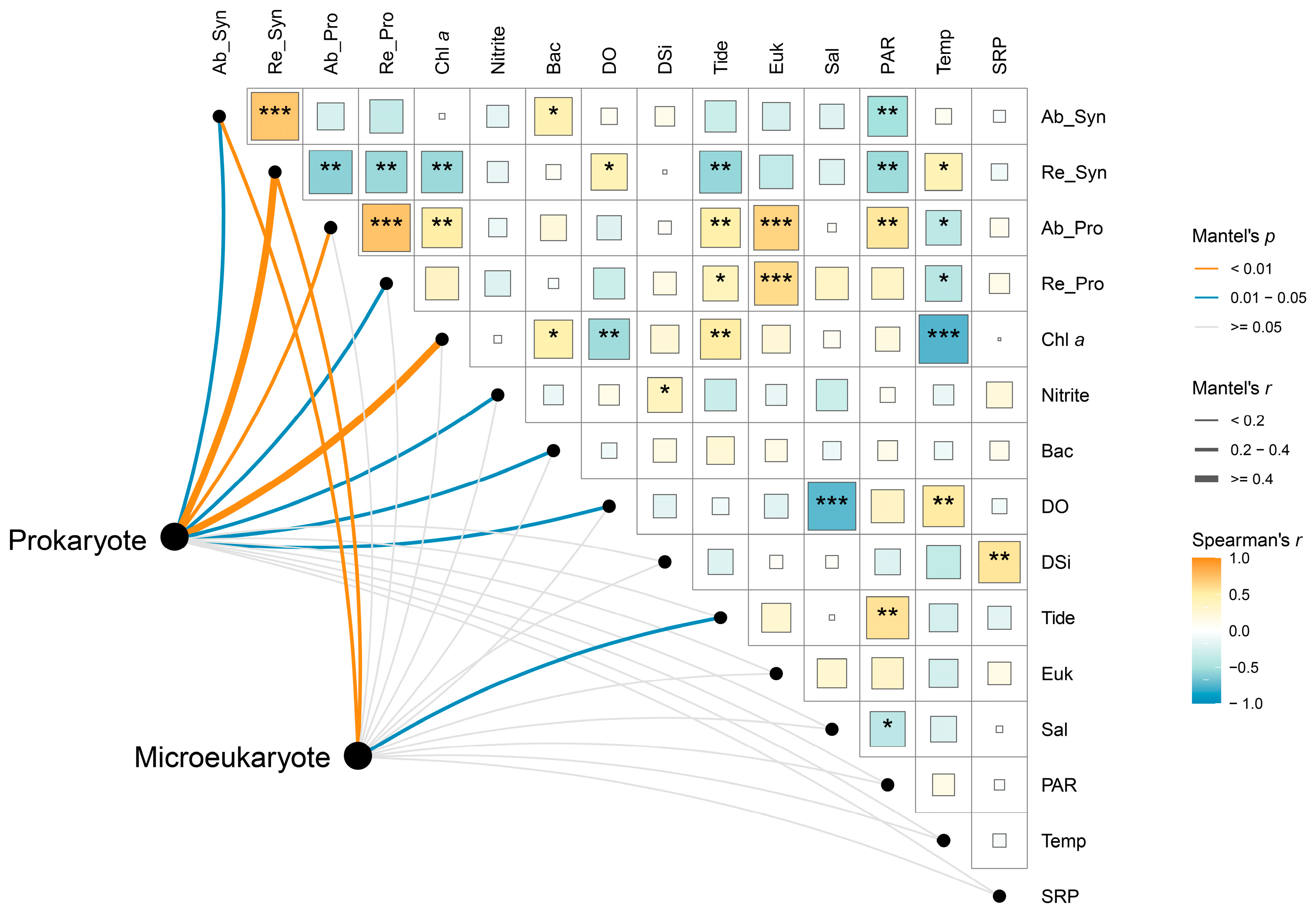 Microorganisms 13 00727 g006