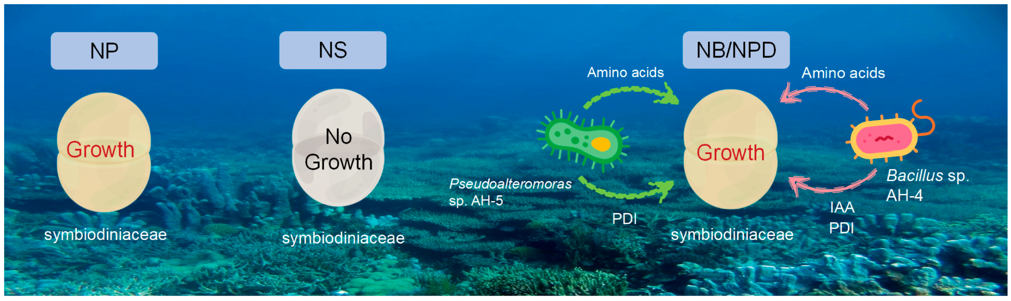Microorganisms 13 00748 g006