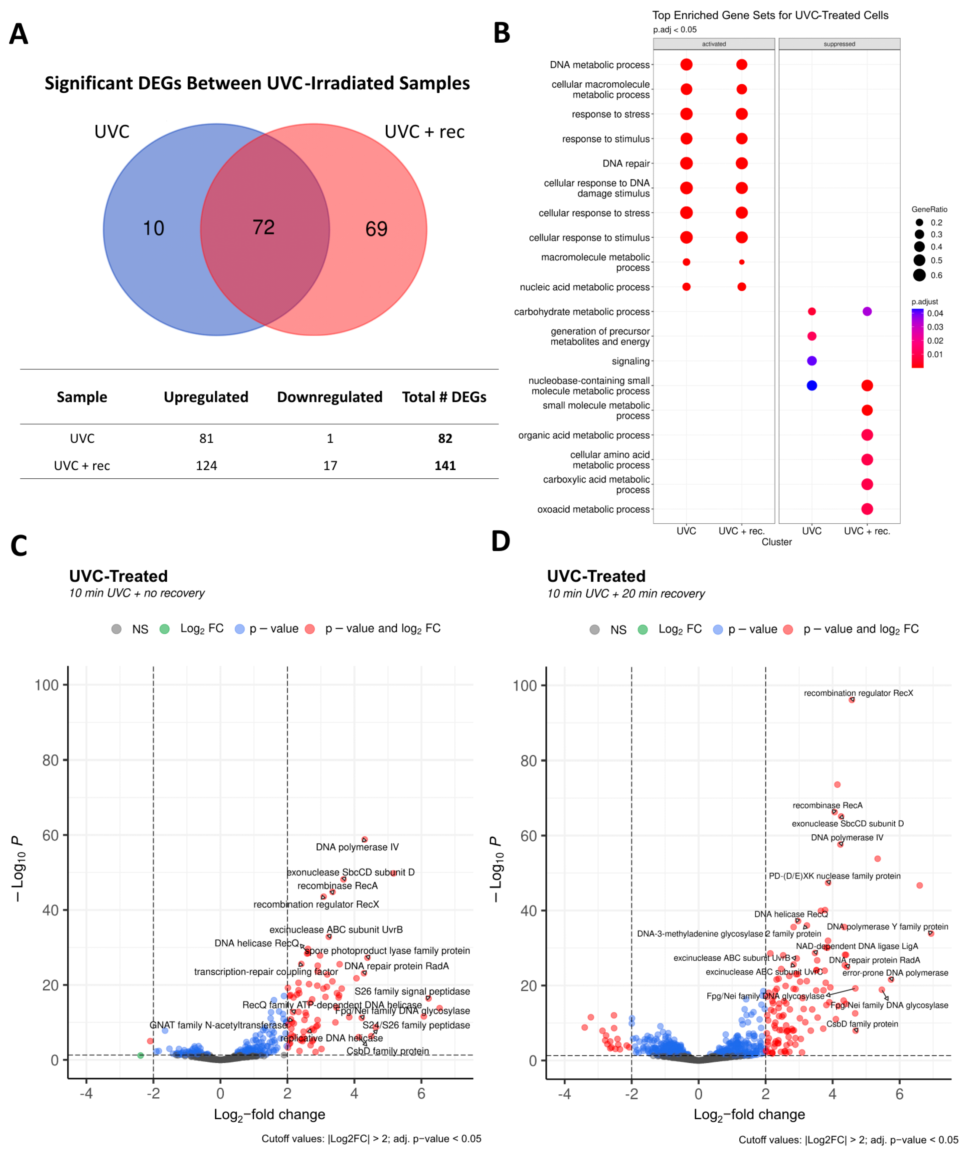 Microorganisms 13 00756 g005 Microorganisms 13 00756 g005