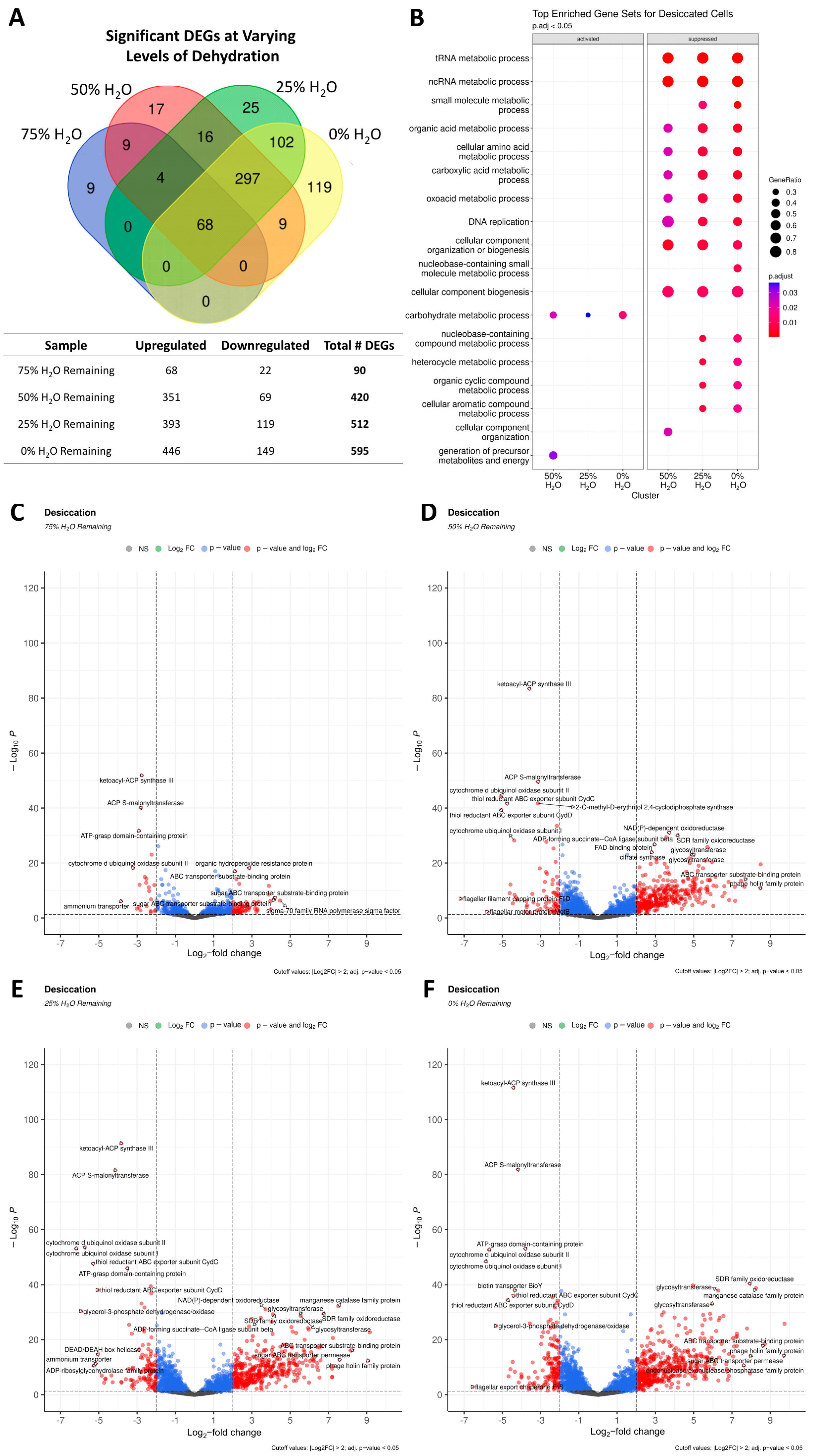 Microorganisms 13 00756 g006 Microorganisms 13 00756 g006