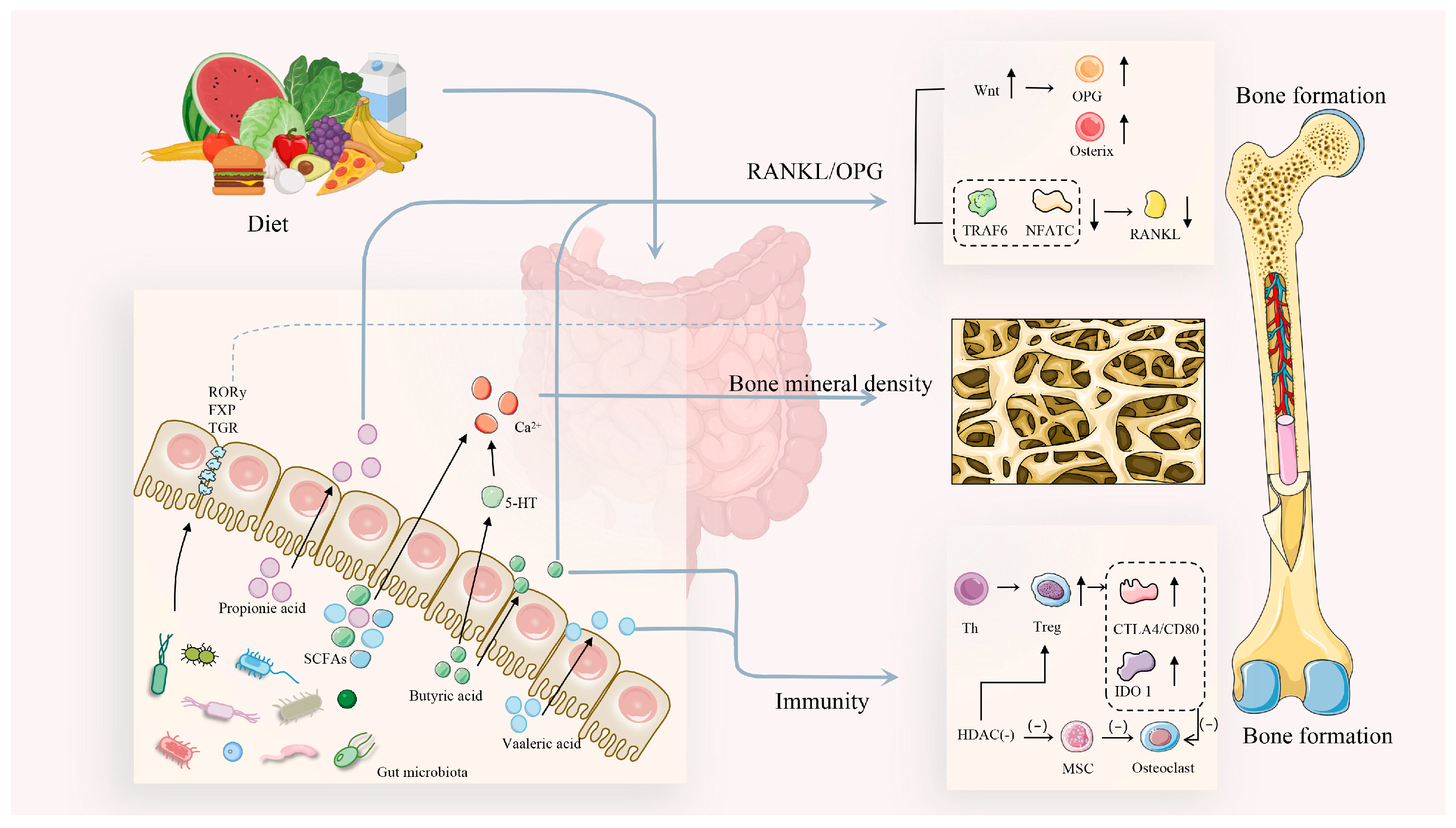 Microorganisms 13 00757 g002 Microorganisms 13 00757 g002