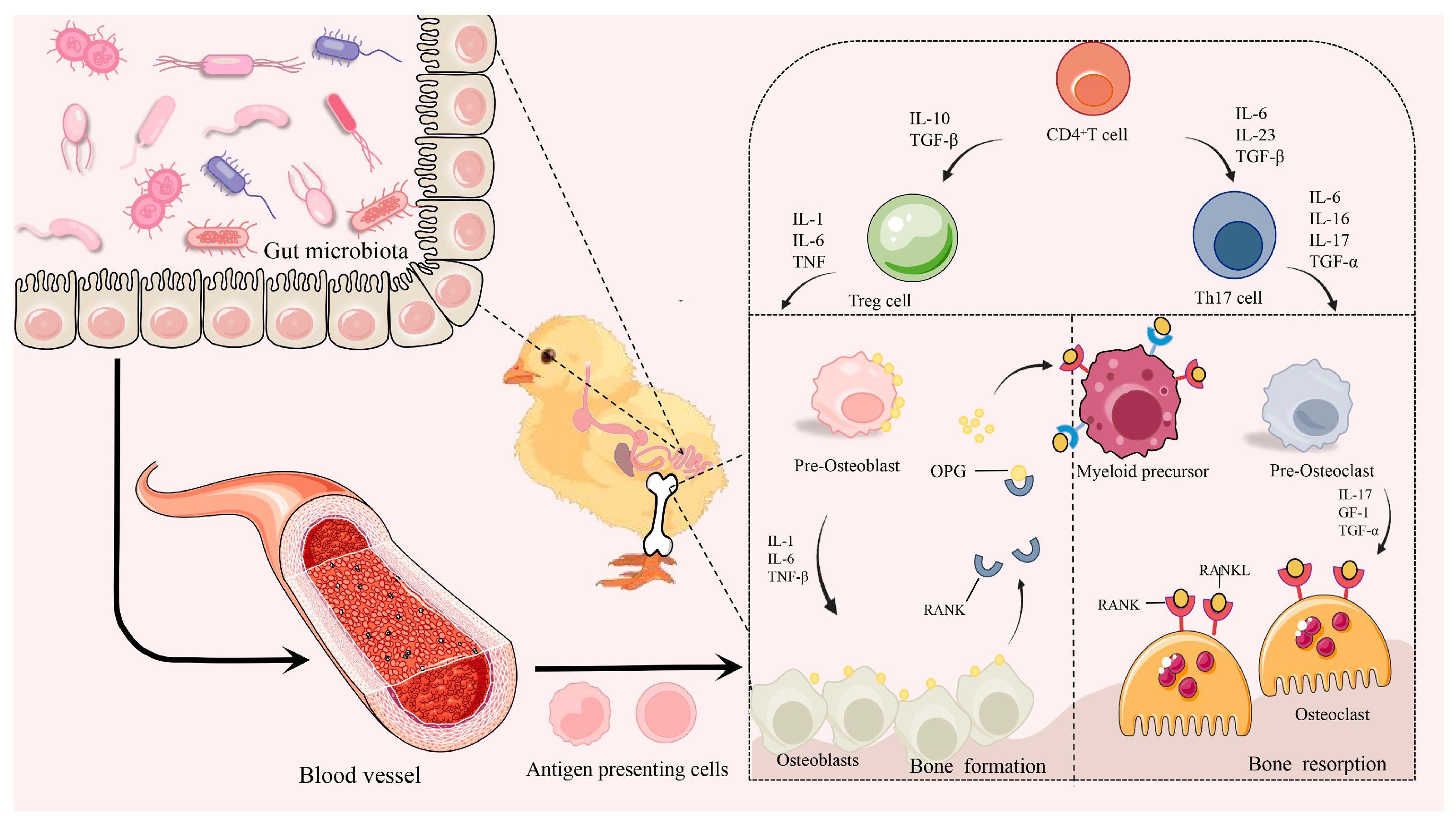 Microorganisms 13 00757 g004 Microorganisms 13 00757 g004