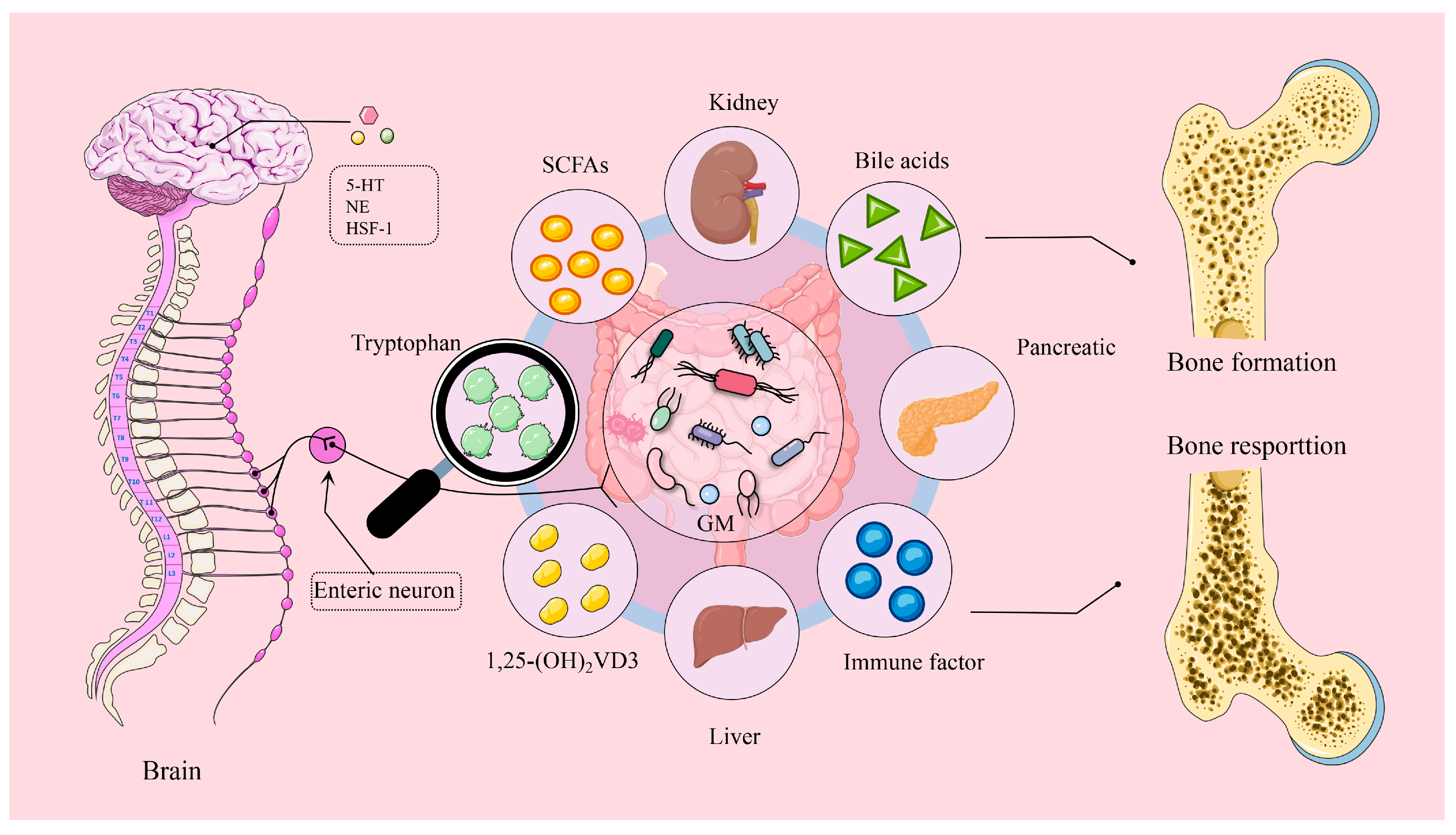 Microorganisms 13 00757 g005 Microorganisms 13 00757 g005