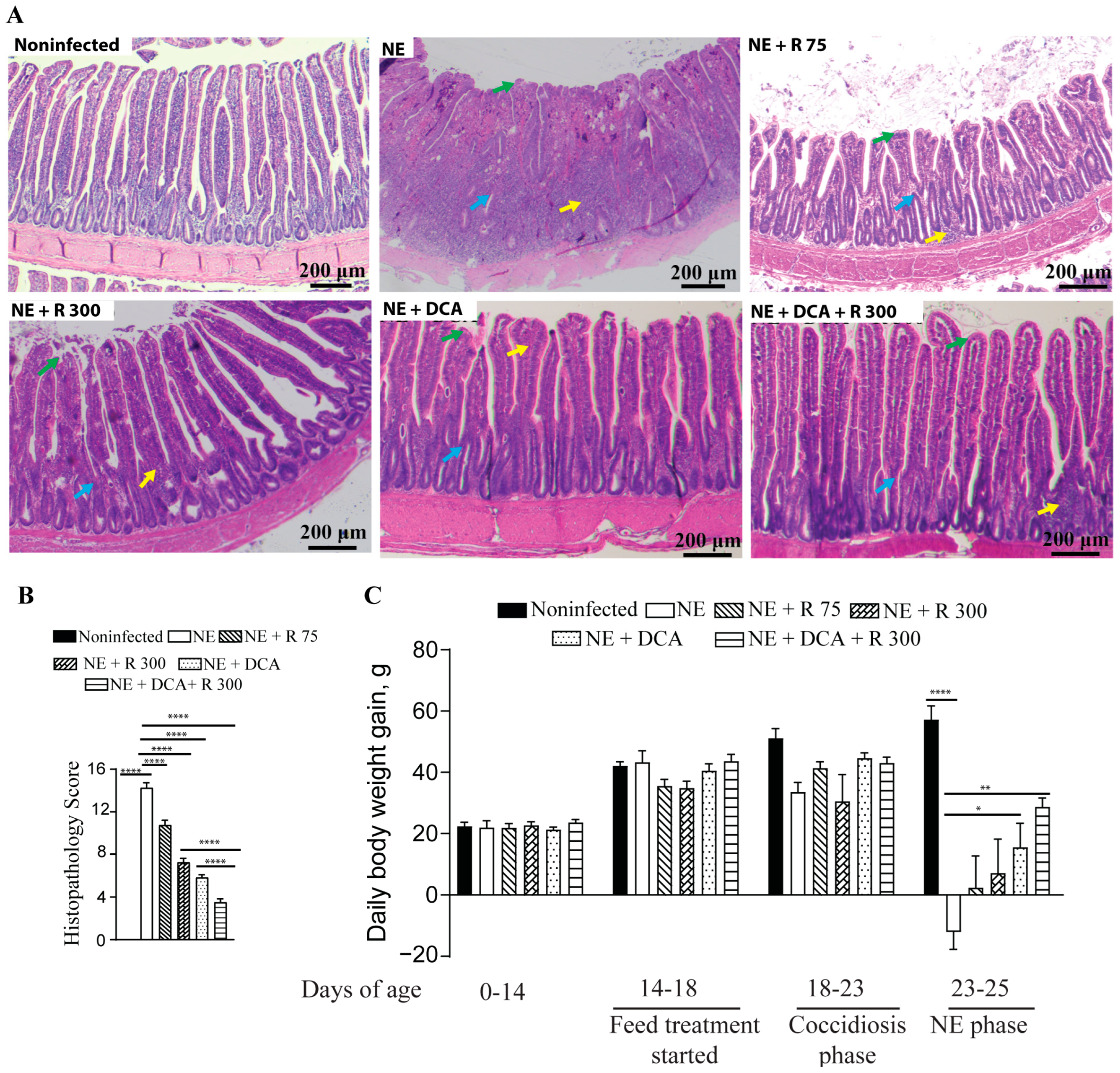 Microorganisms 13 00762 g002