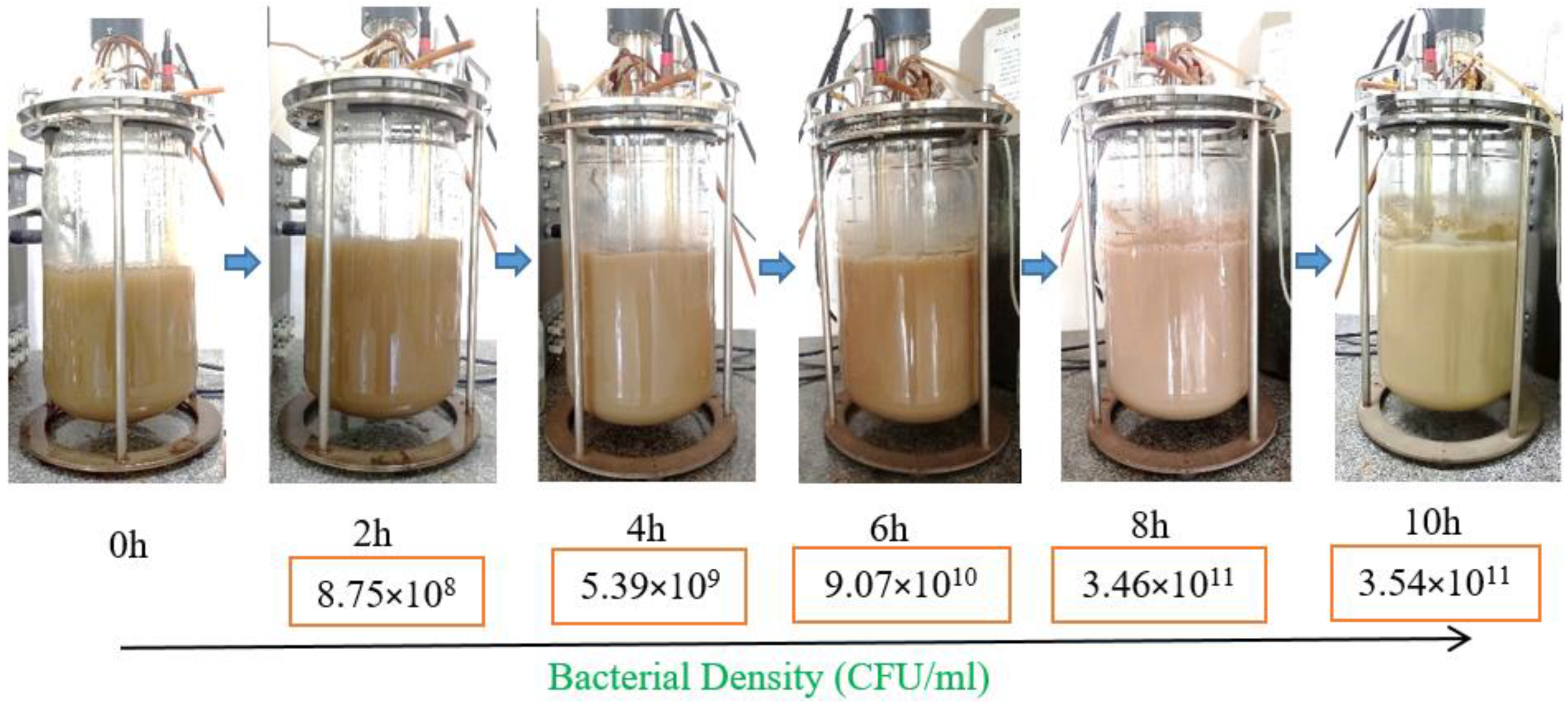 Microorganisms 13 00800 g005
