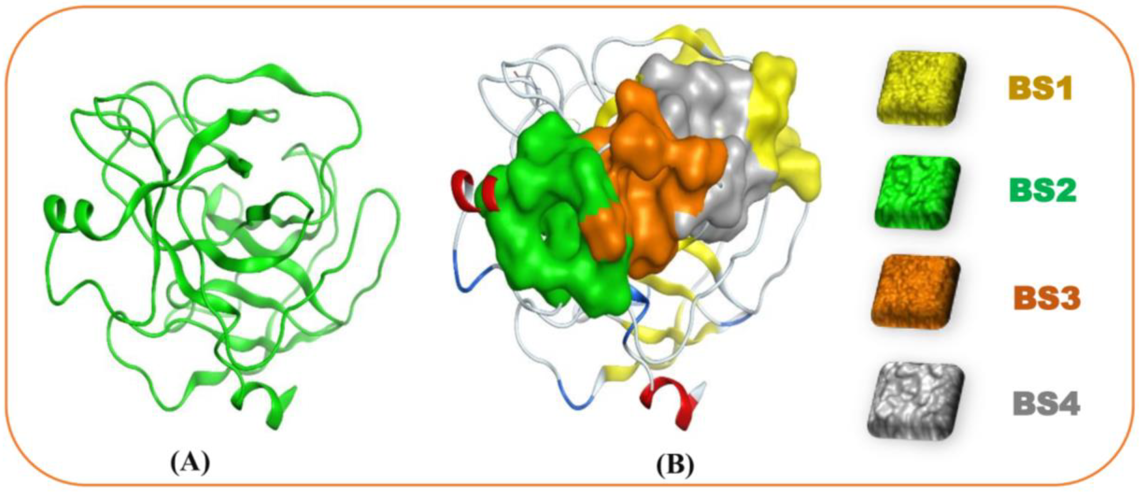 Microorganisms 13 00800 g008