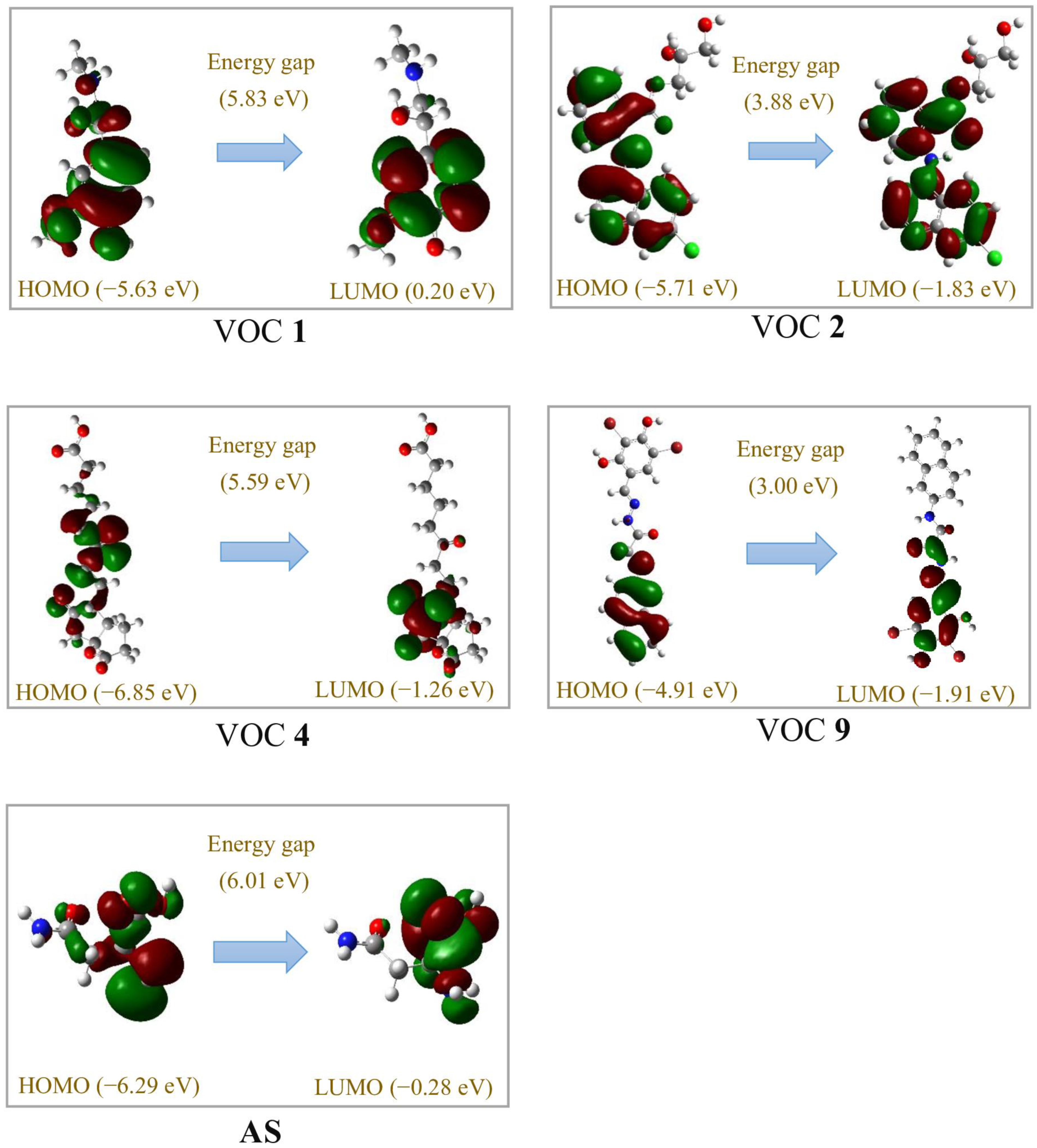 Microorganisms 13 00800 g010