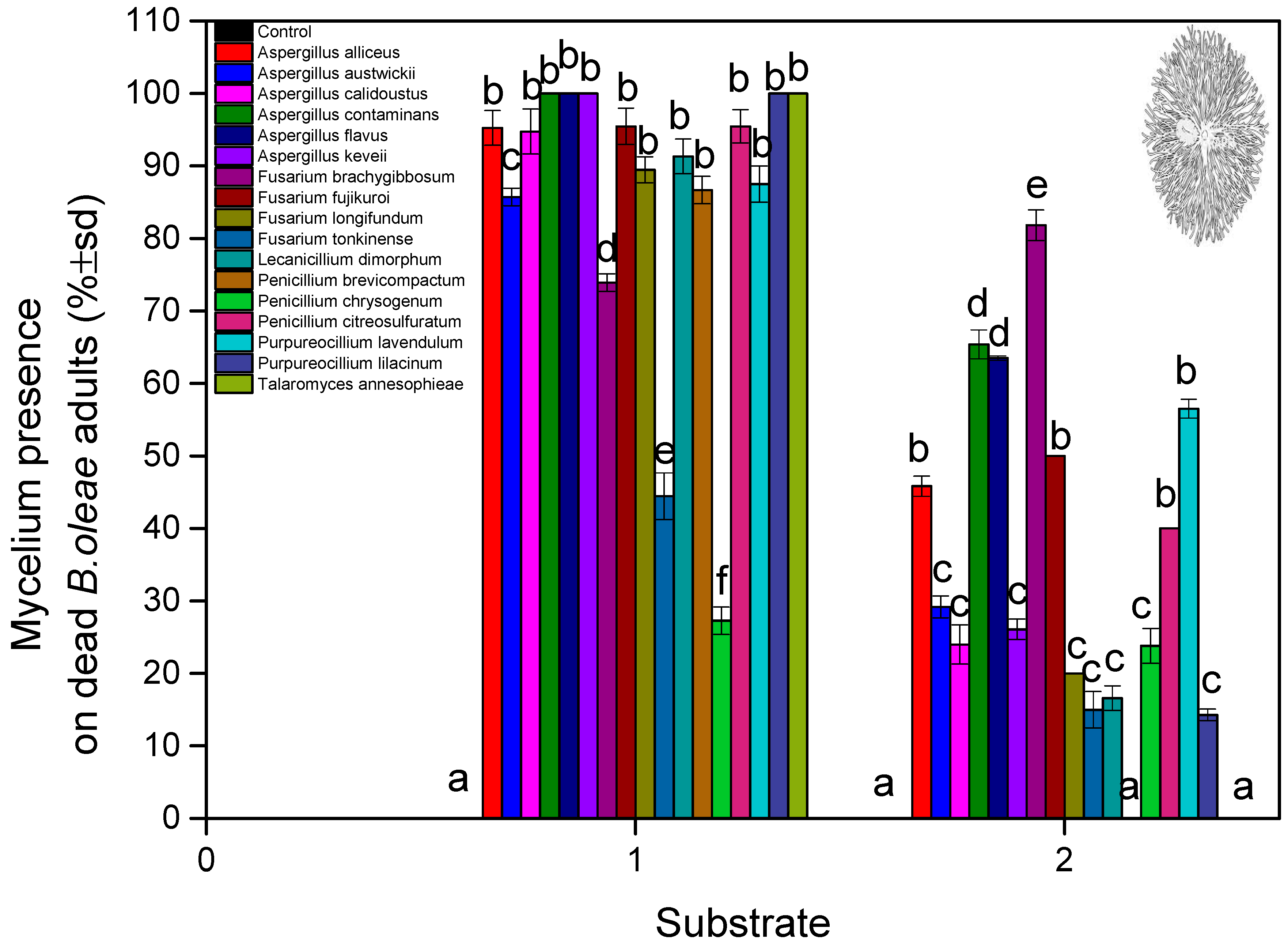 Microorganisms 13 00811 g006