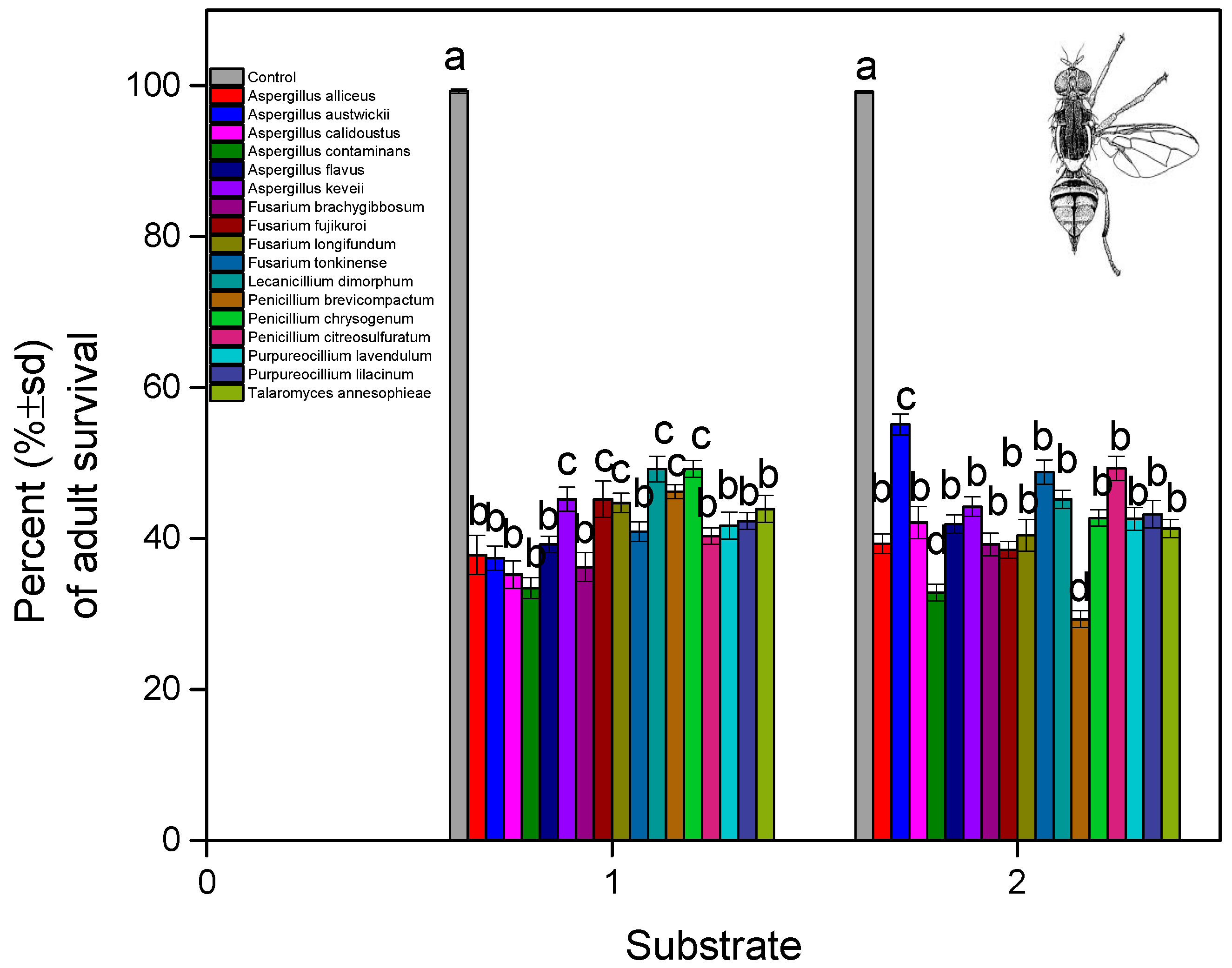 Microorganisms 13 00811 g009