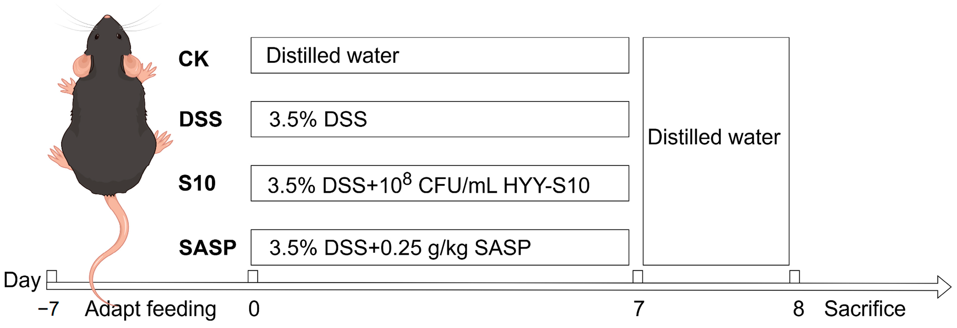 Microorganisms 13 00840 g001