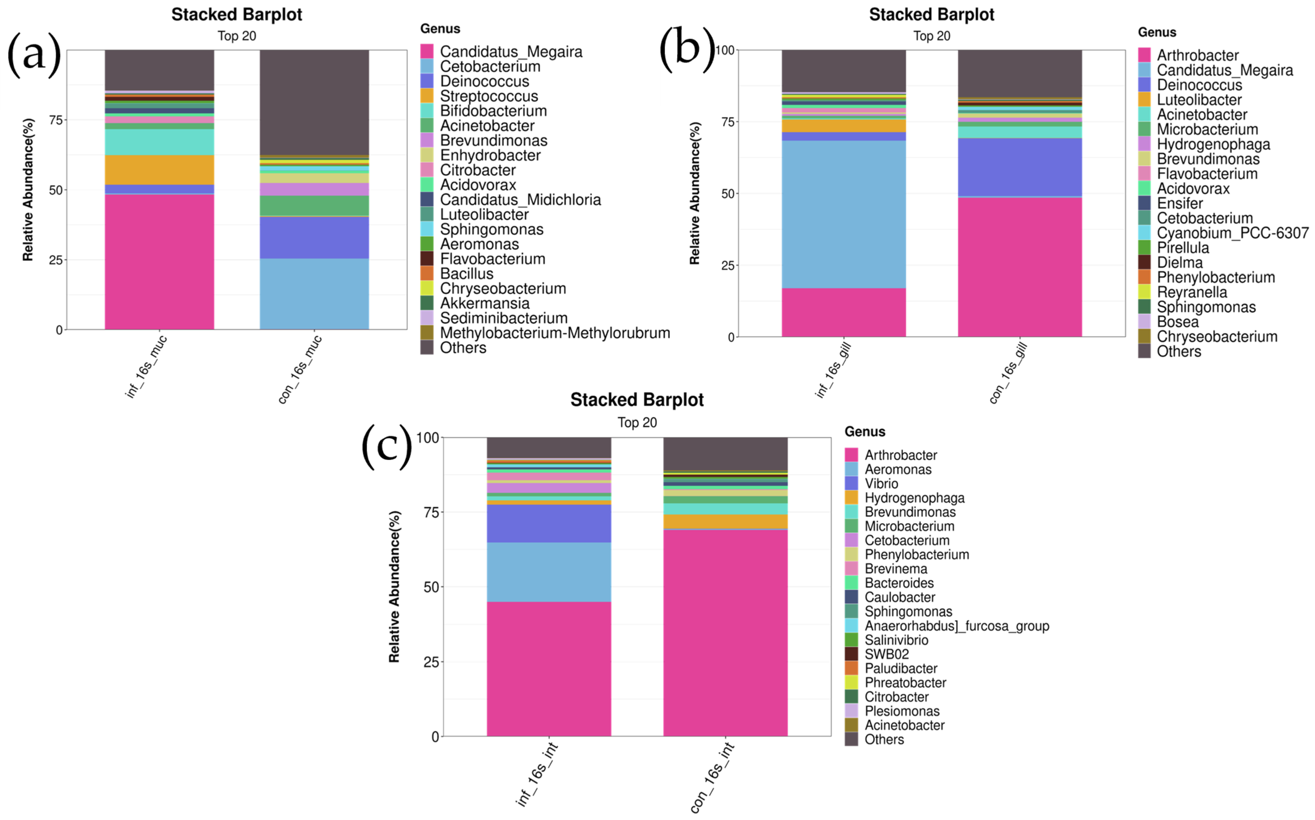 Microorganisms 13 00872 g005